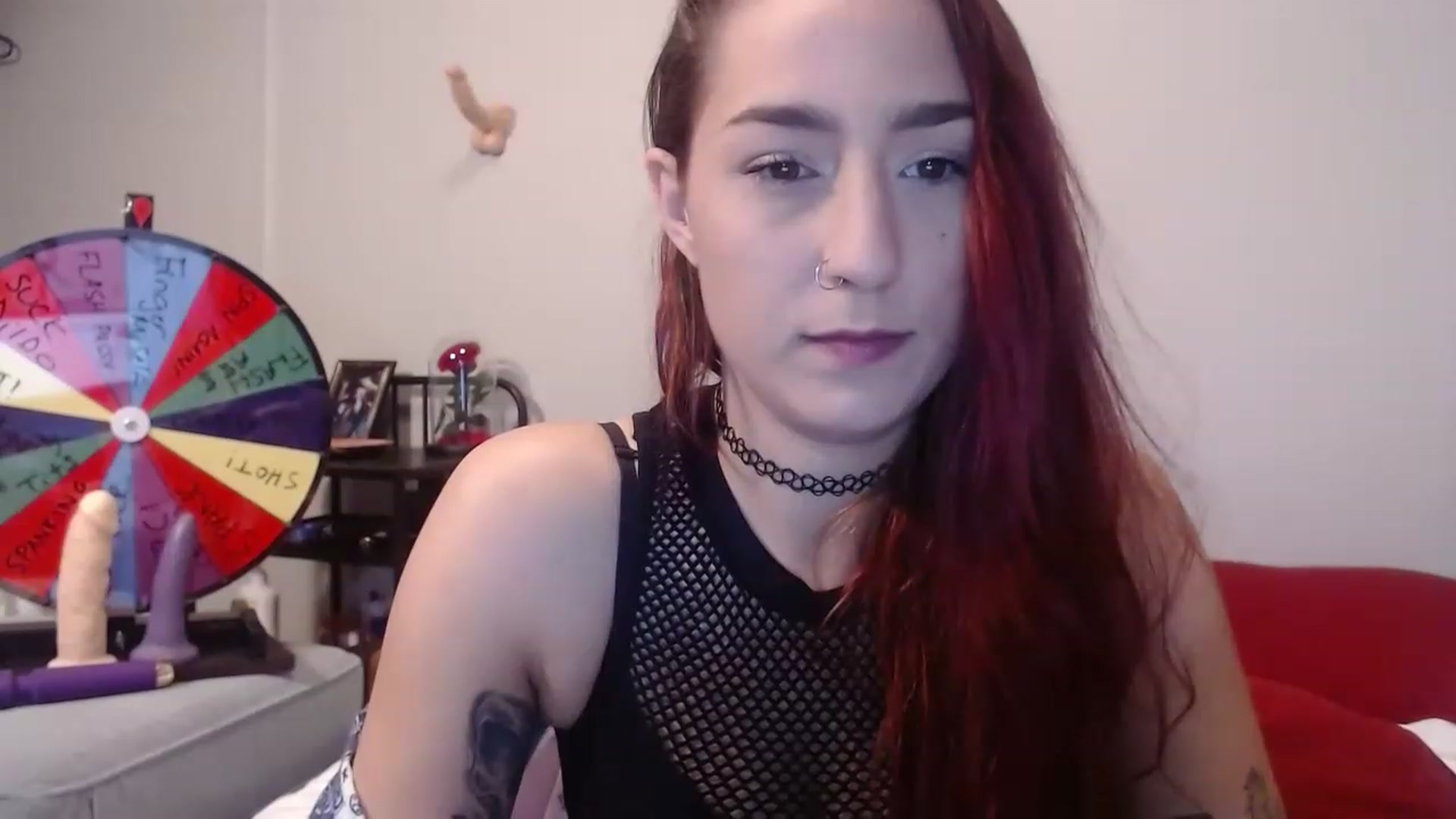 Gallery image thumbnail from Nickyx0x's myfreecams stream on, 12/16/2022, 18:06 image 13 of 20