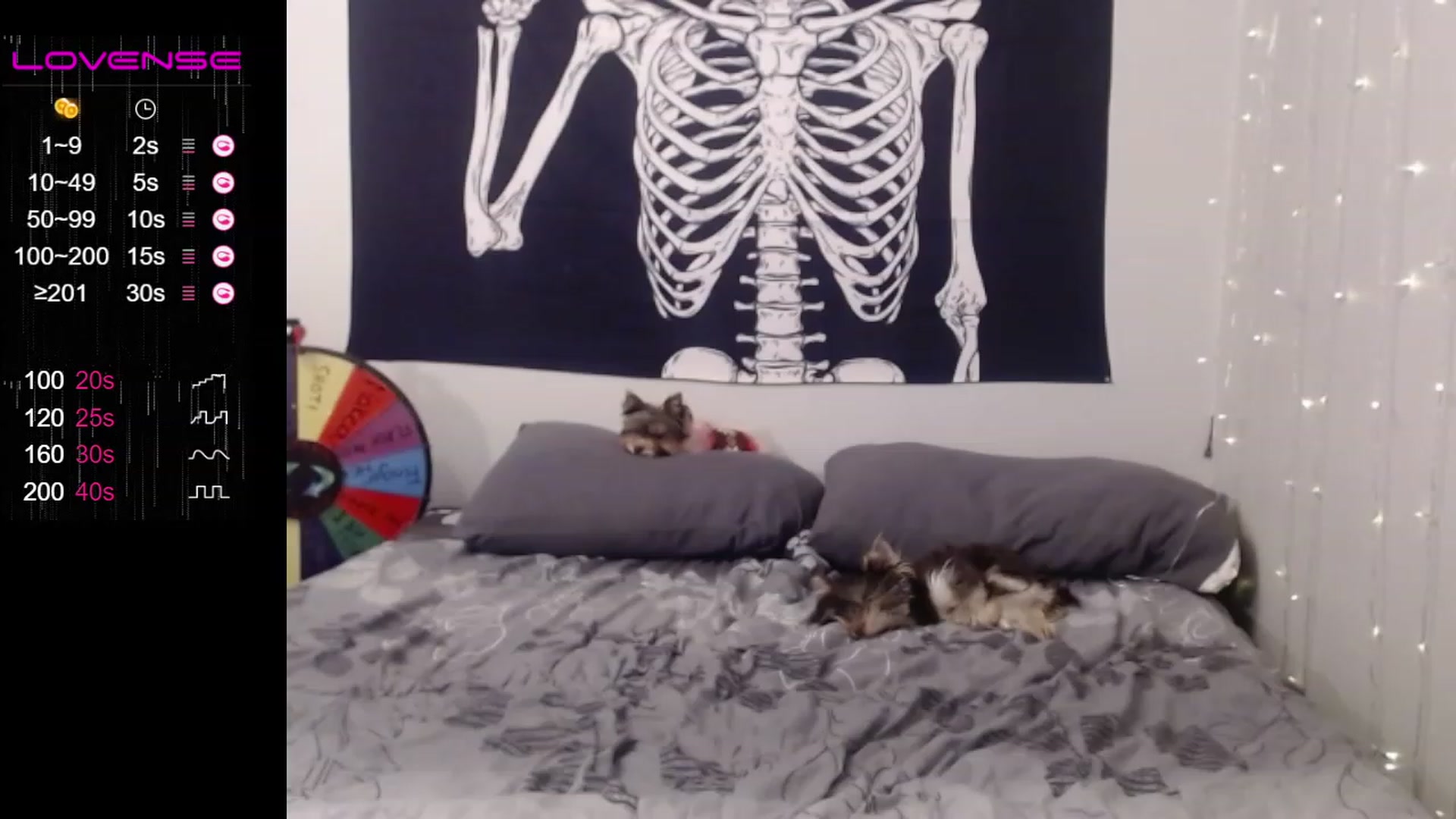 Gallery image thumbnail from Nickyx0x's myfreecams stream on, 02/07/2023, 19:01 image 3 of 20
