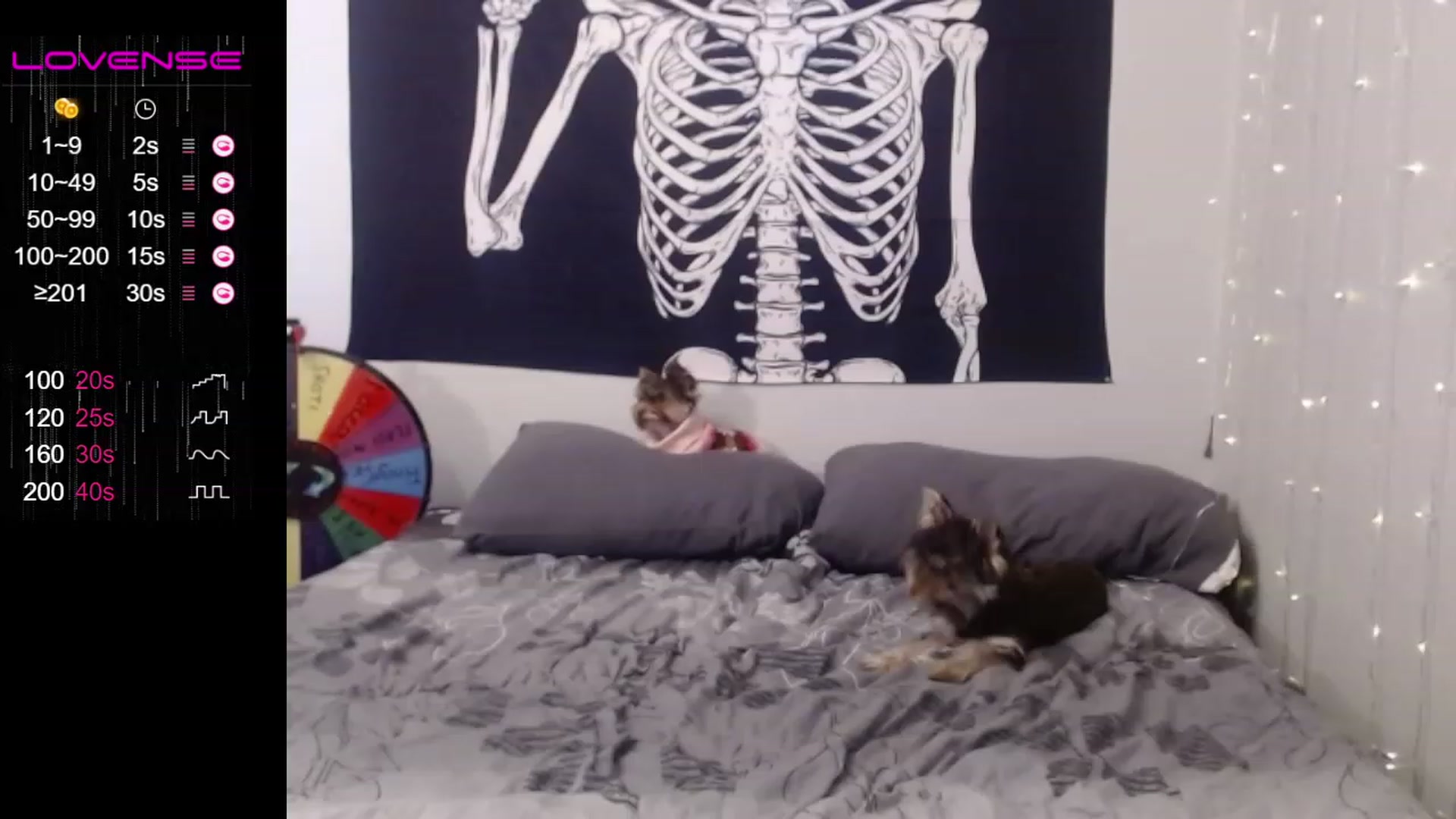 Gallery image thumbnail from Nickyx0x's myfreecams stream on, 02/07/2023, 19:01 image 4 of 20