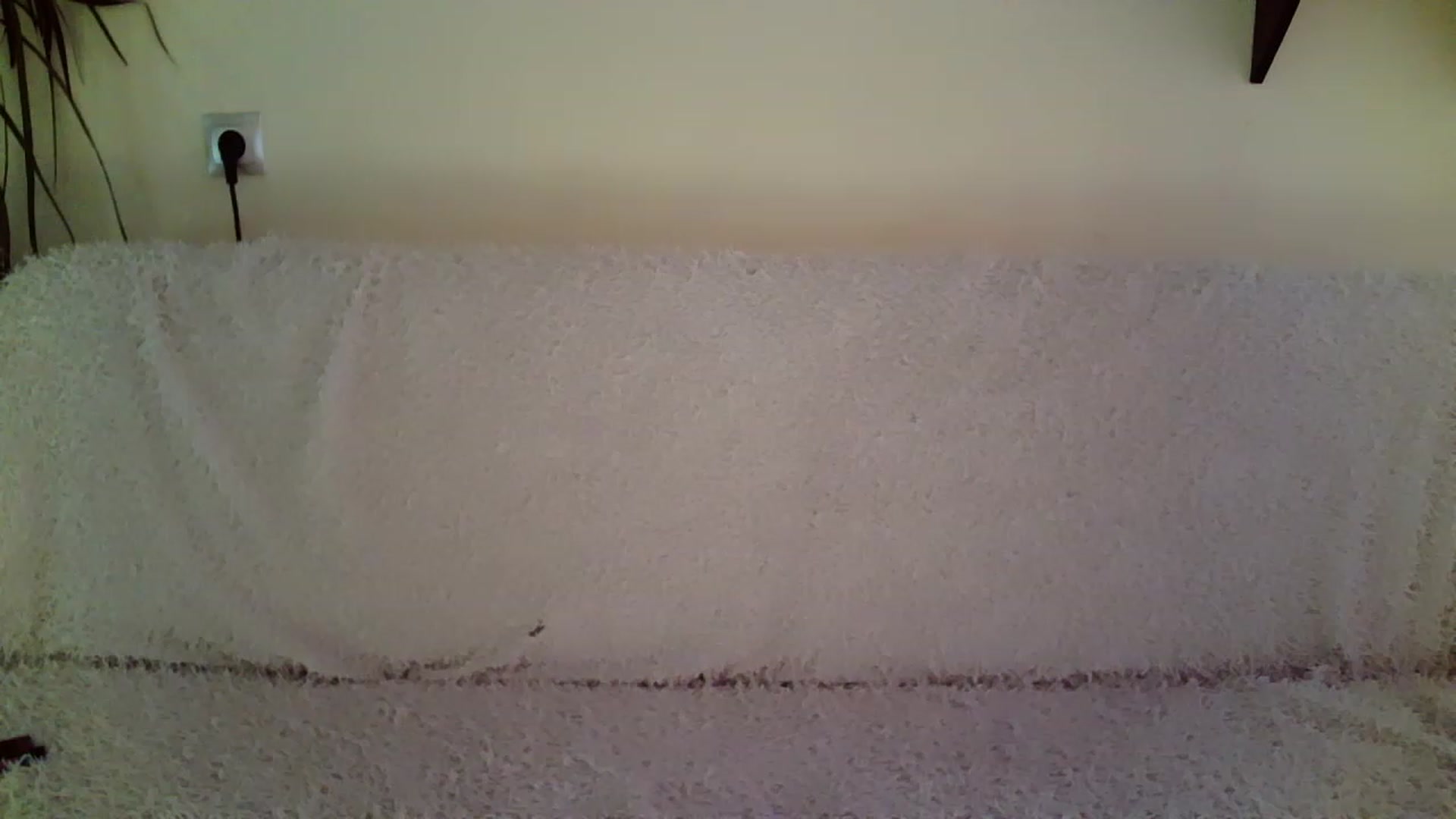 Gallery image thumbnail from Nicole_W's myfreecams stream on, 11/25/2022, 07:23 image 9 of 20