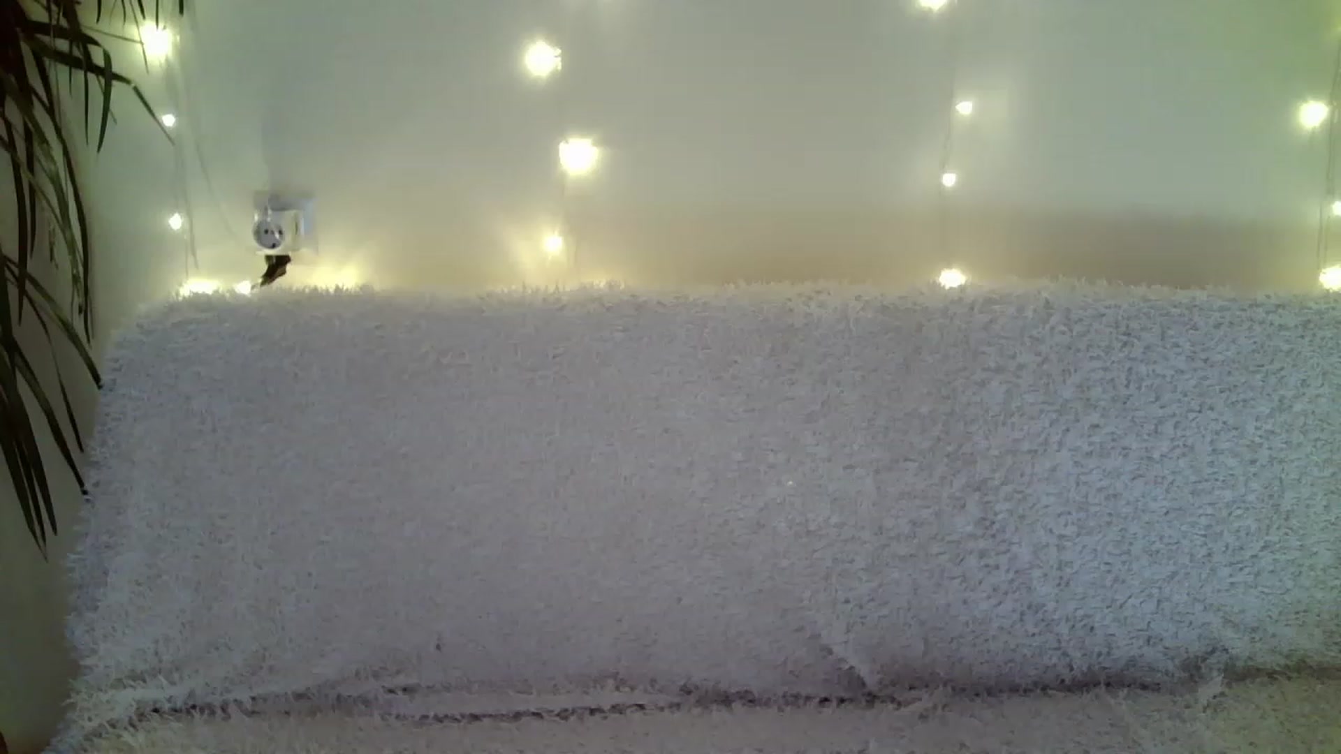 Gallery image thumbnail from Nicole_W's myfreecams stream on, 12/17/2022, 09:39 image 15 of 20