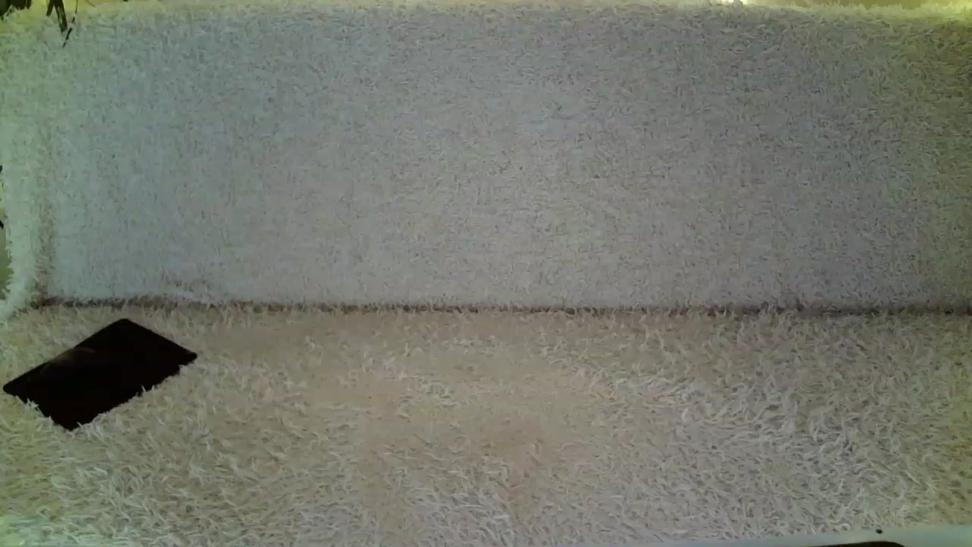Gallery image thumbnail from Nicole_W's myfreecams stream on, 12/24/2022, 10:35 image 20 of 20