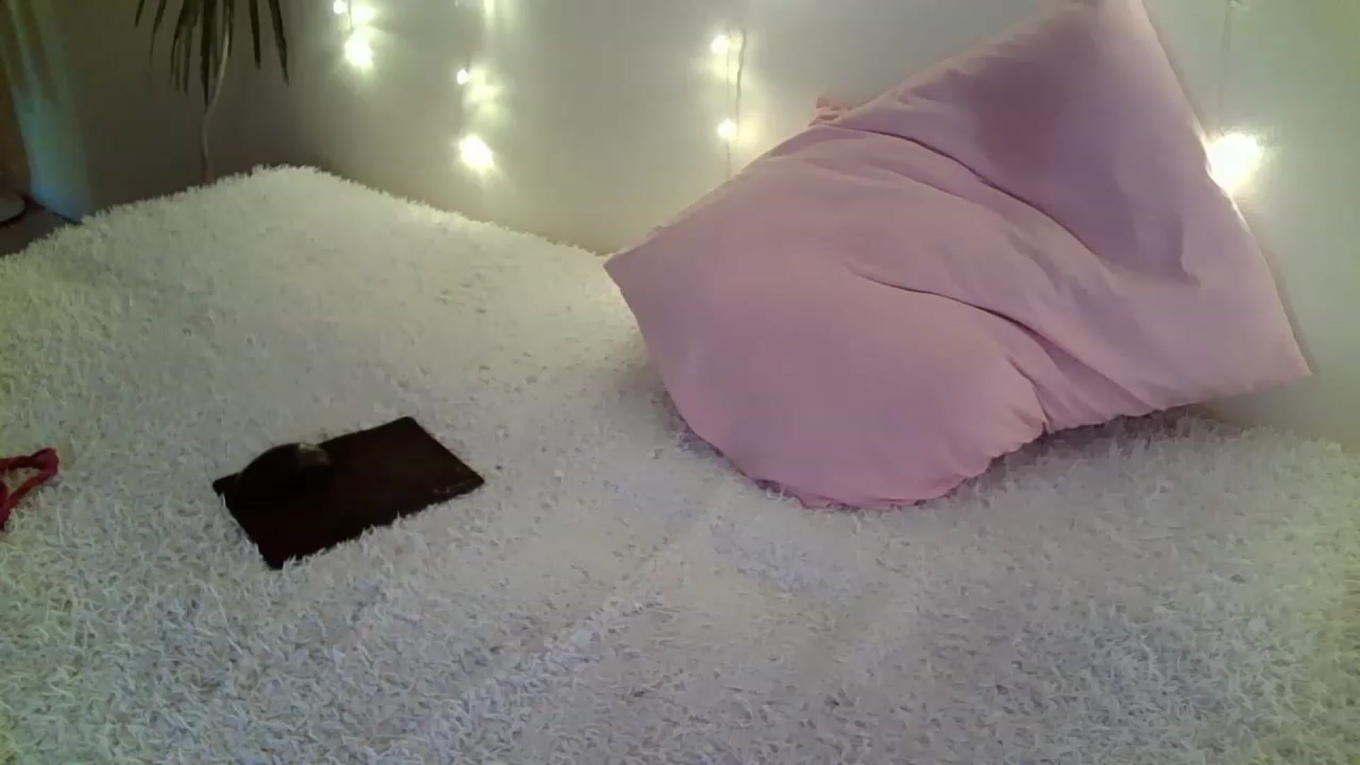 Gallery image thumbnail from Nicole_W's myfreecams stream on, 01/28/2023, 10:07 image 10 of 20