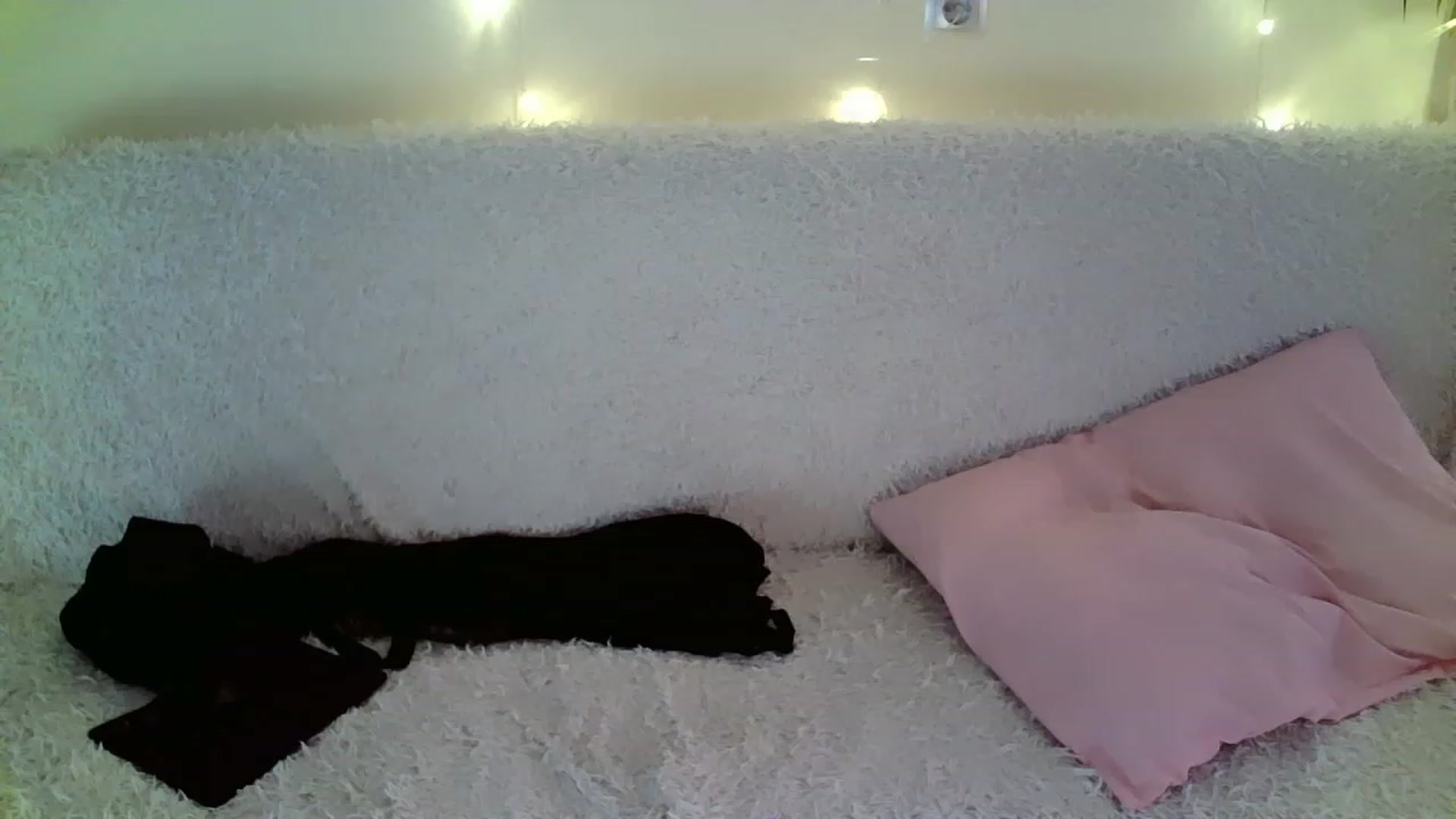 Gallery image thumbnail from Nicole_W's myfreecams stream on, 02/26/2023, 07:08 image 6 of 20
