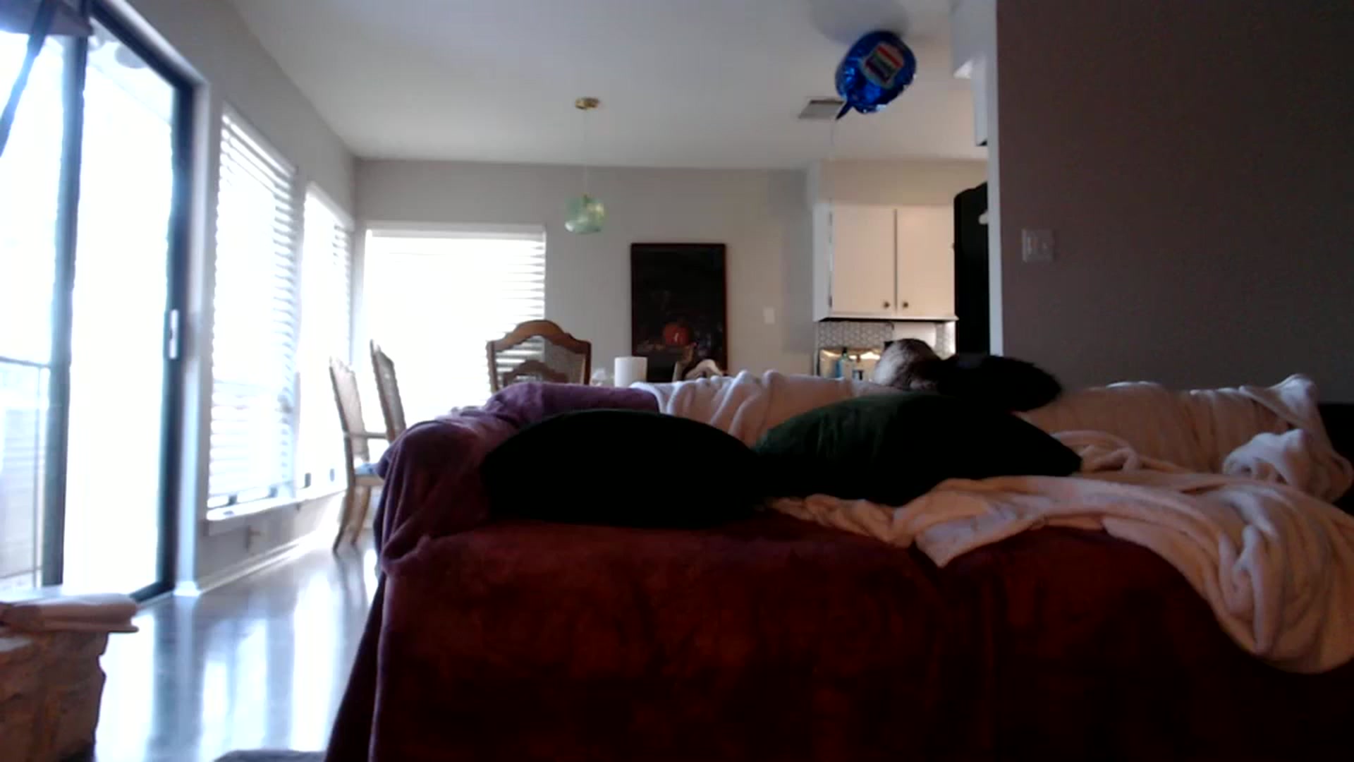 Gallery image thumbnail from Nicole_quinn's myfreecams stream on, 10/22/2024, 15:08 image 16 of 20