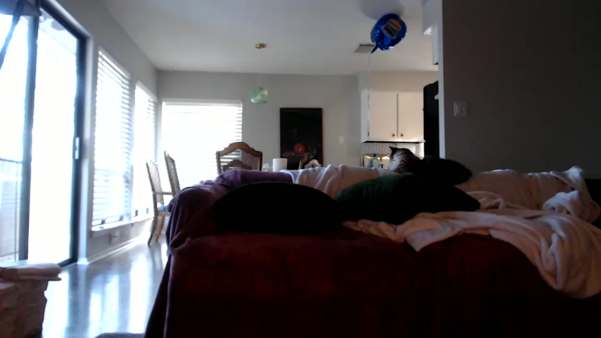 Gallery image thumbnail from Nicole_quinn's myfreecams stream on, 10/22/2024, 15:08 image 15 of 20