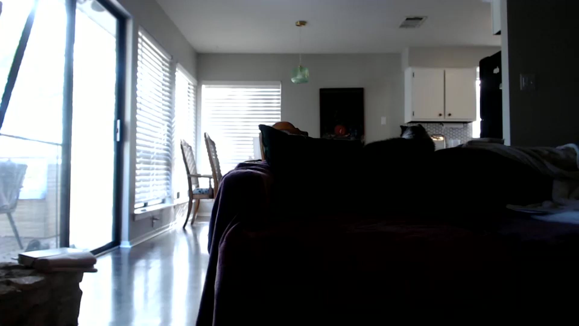 Gallery image thumbnail from Nicole_quinn's myfreecams stream on, 10/23/2024, 15:14 image 14 of 20