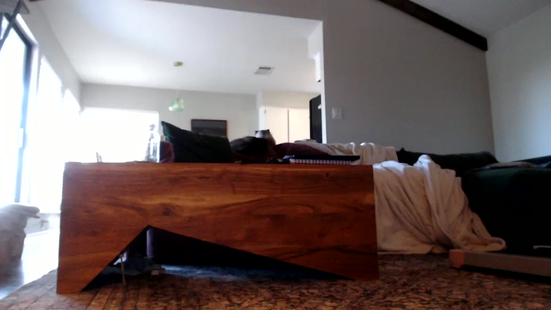Gallery image thumbnail from Nicole_quinn's myfreecams stream on, 10/23/2024, 15:14 image 10 of 20