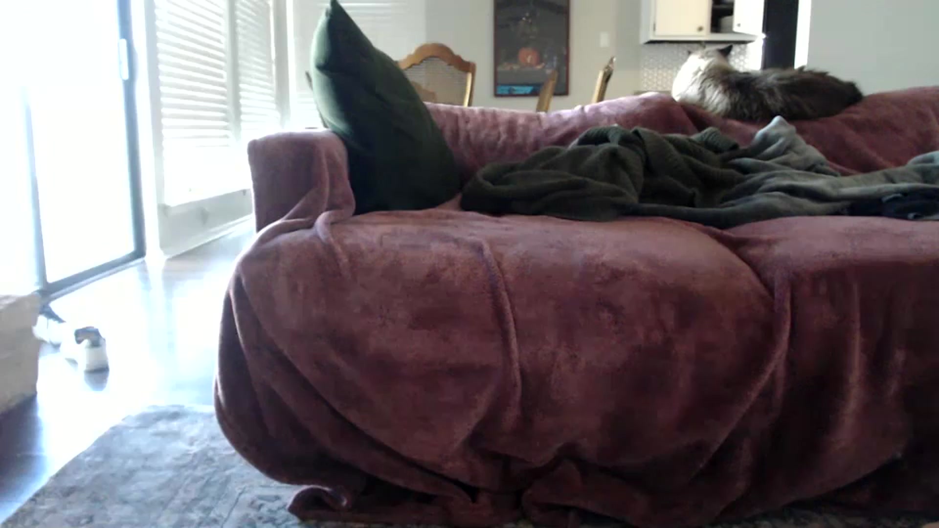 Gallery image thumbnail from Nicole_quinn's myfreecams stream on, 11/06/2024, 20:11 image 20 of 20