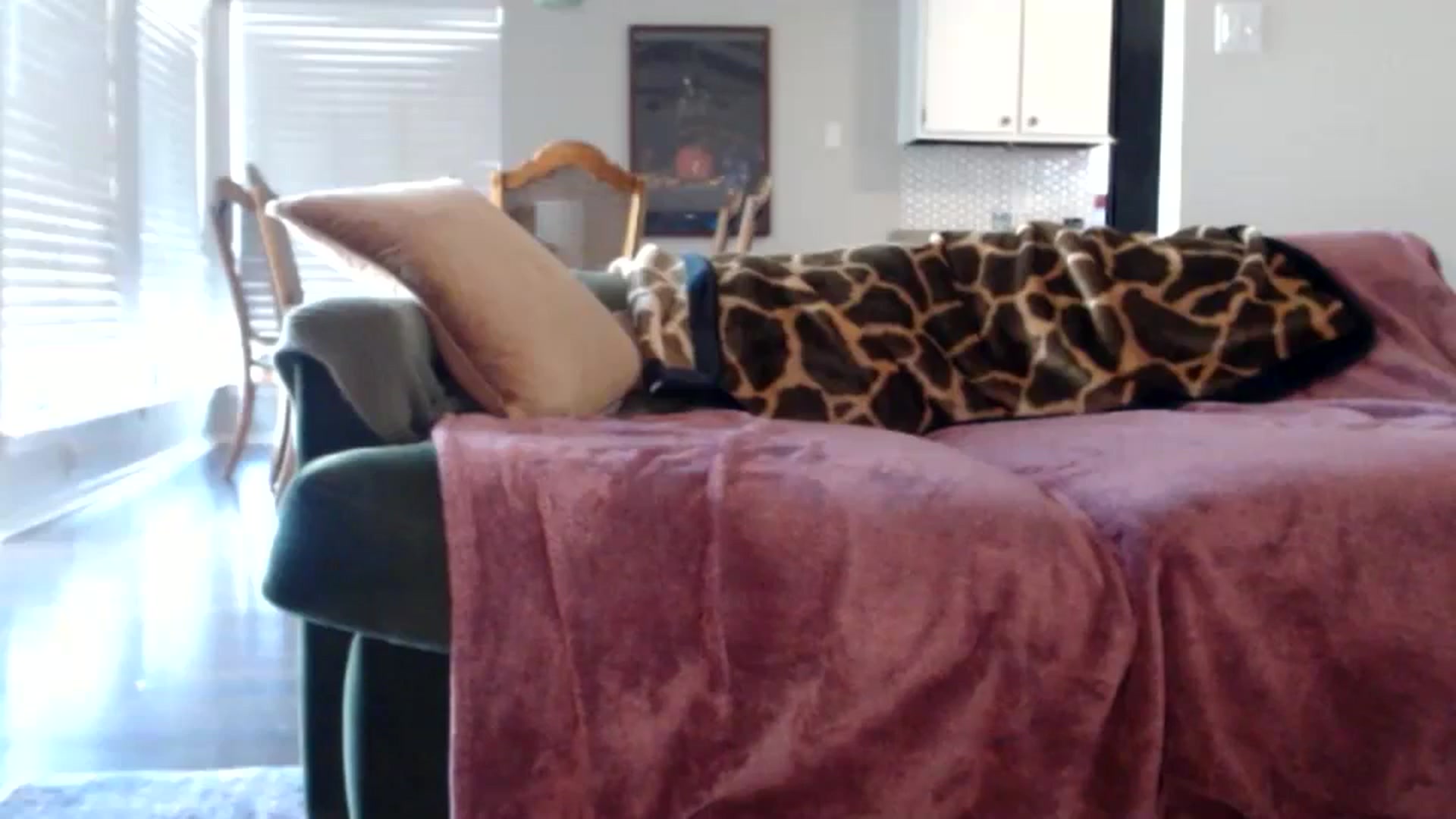 Gallery image thumbnail from Nicole_quinn's myfreecams stream on, 11/12/2024, 20:16 image 17 of 20