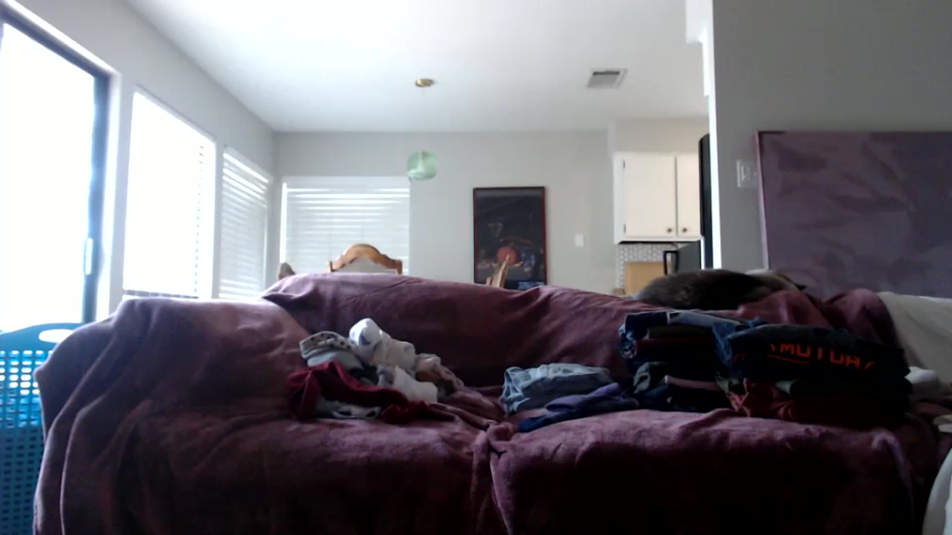 Gallery image thumbnail from Nicole_quinn's myfreecams stream on, 11/18/2024, 18:37 image 4 of 20