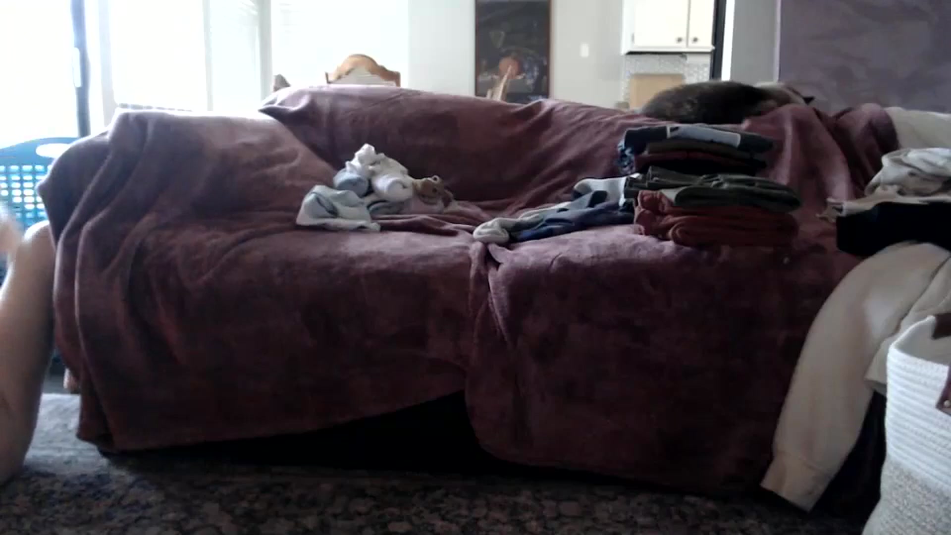 Gallery image thumbnail from Nicole_quinn's myfreecams stream on, 11/18/2024, 18:37 image 3 of 20