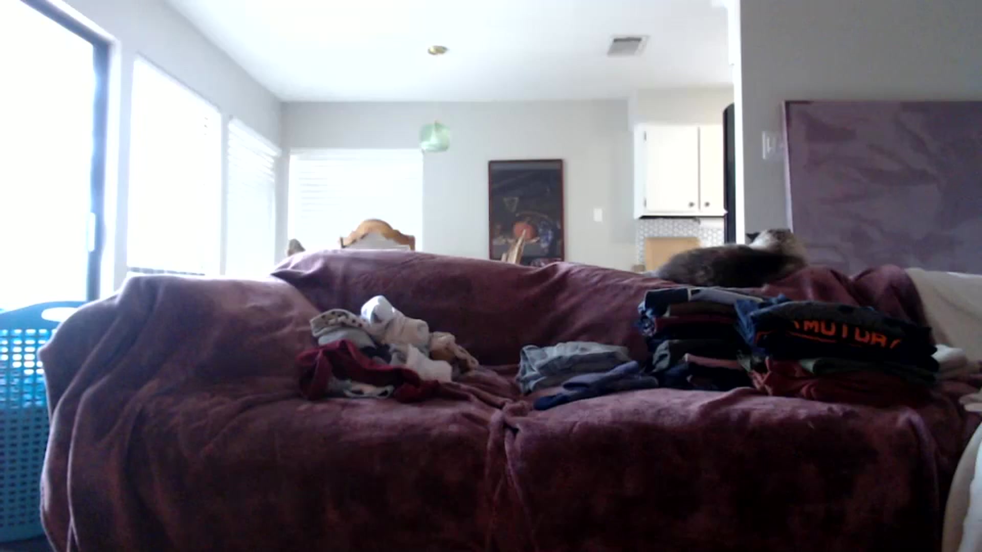 Gallery image thumbnail from Nicole_quinn's myfreecams stream on, 11/18/2024, 18:37 image 7 of 20