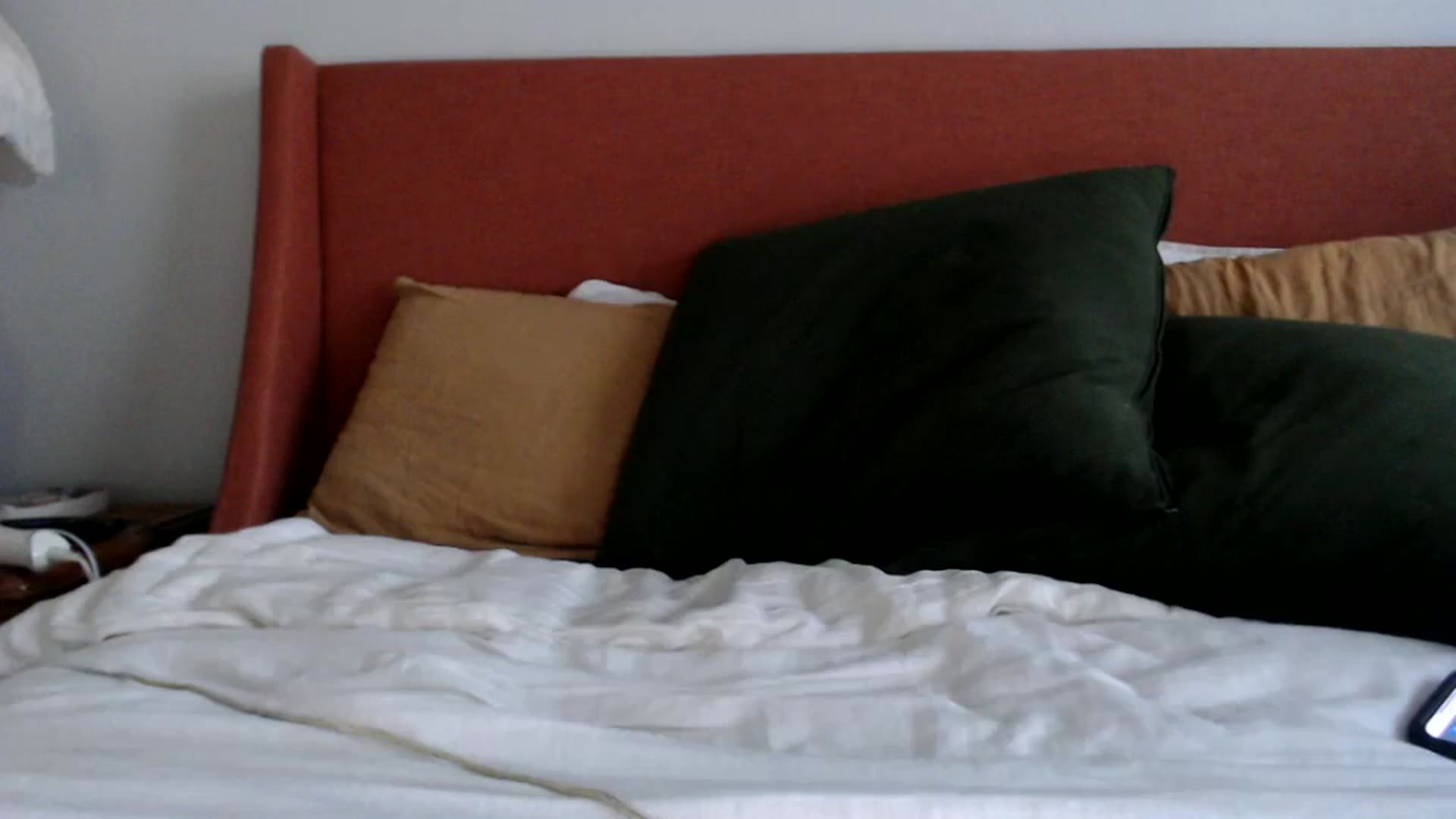 Gallery image thumbnail from Nicole_quinn's myfreecams stream on, 11/19/2024, 16:56 image 16 of 20