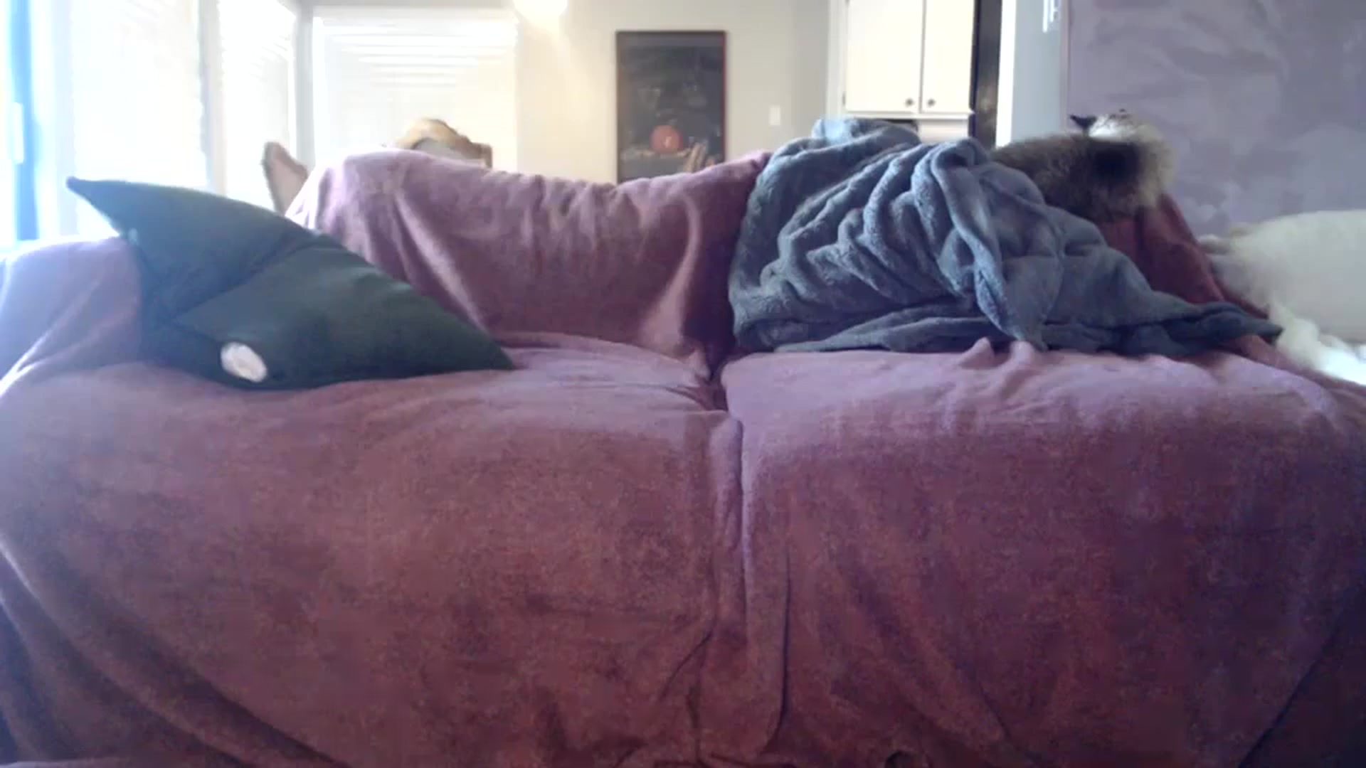 Gallery image thumbnail from Nicole_quinn's myfreecams stream on, 11/23/2024, 21:43 image 7 of 20