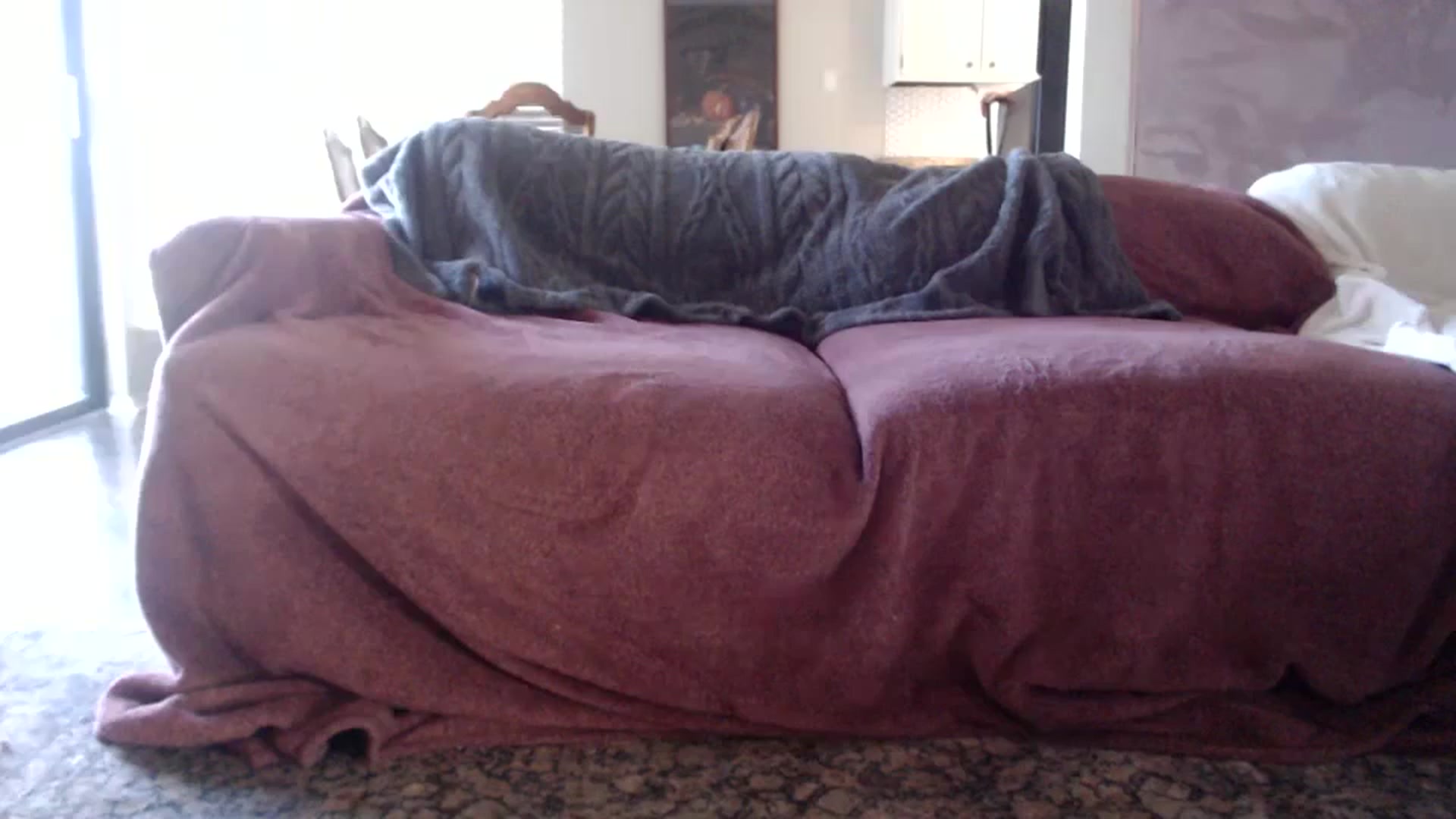 Gallery image thumbnail from Nicole_quinn's myfreecams stream on, 12/02/2024, 17:42 image 19 of 20