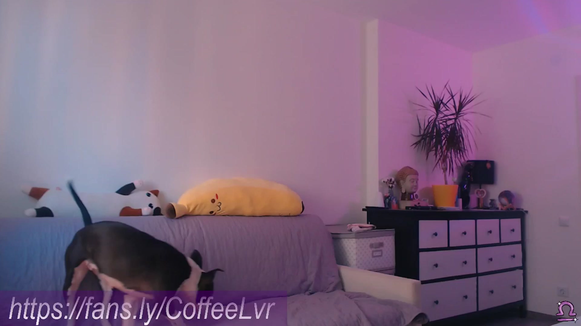 Gallery image thumbnail from NightBrew's myfreecams stream on, 09/02/2025, 14:10 image 9 of 20