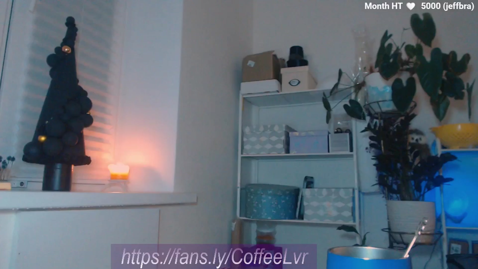 Gallery image thumbnail from NightBrew's myfreecams stream on, 12/25/2025, 20:39 image 3 of 20