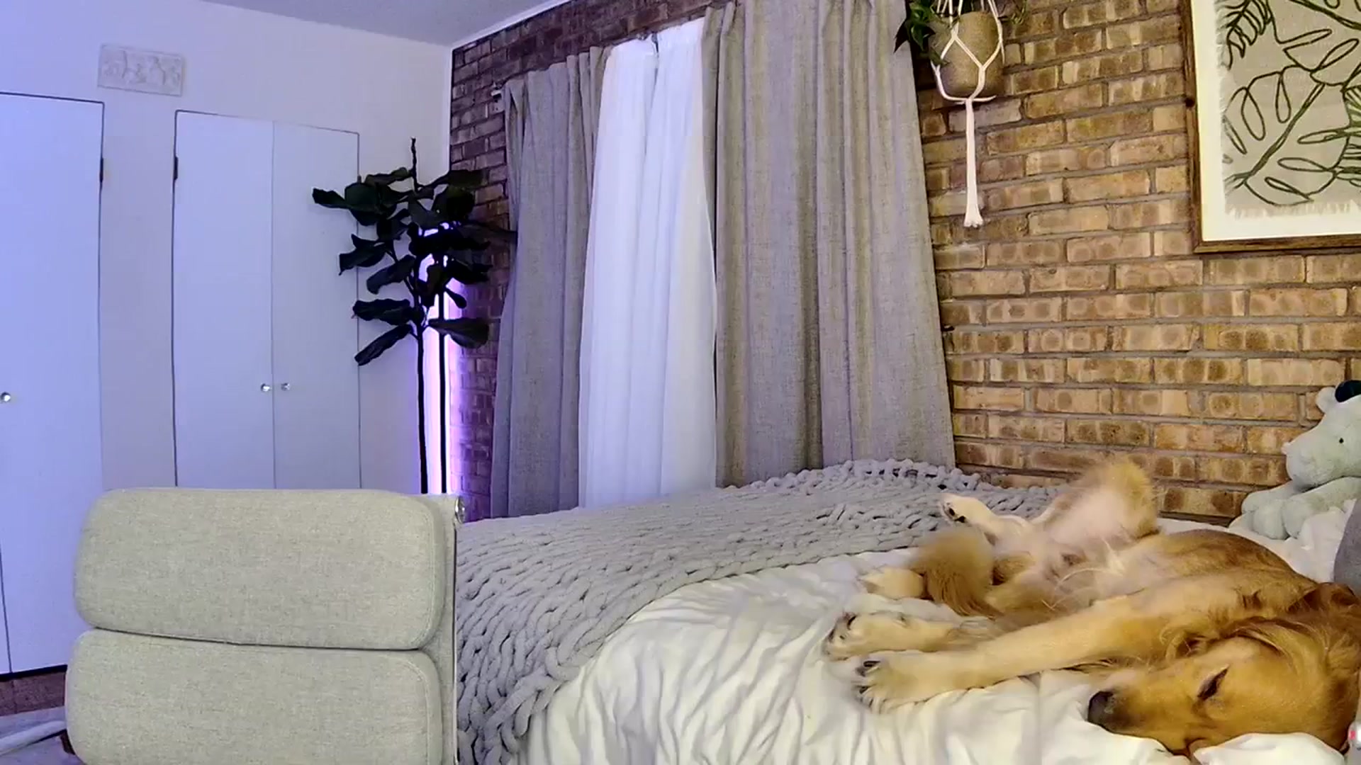 Gallery image thumbnail from NightSky's myfreecams stream on, 12/24/2023, 06:48 image 18 of 20