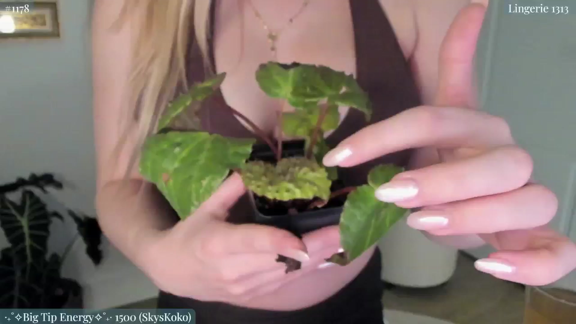 Gallery image thumbnail from NightSky's myfreecams stream on, 11/06/2024, 05:51 image 5 of 20