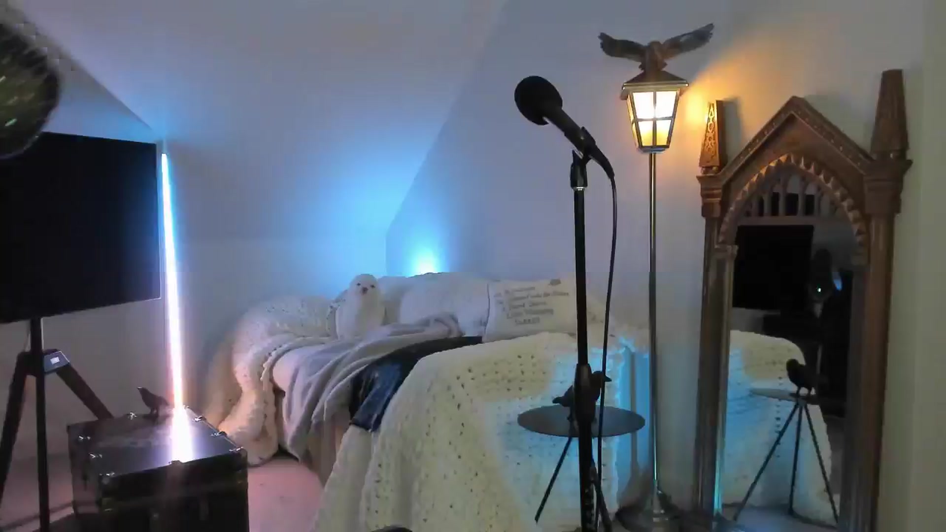 Gallery image thumbnail from Nightmiora's myfreecams stream on, 01/04/2026, 05:02 image 14 of 20