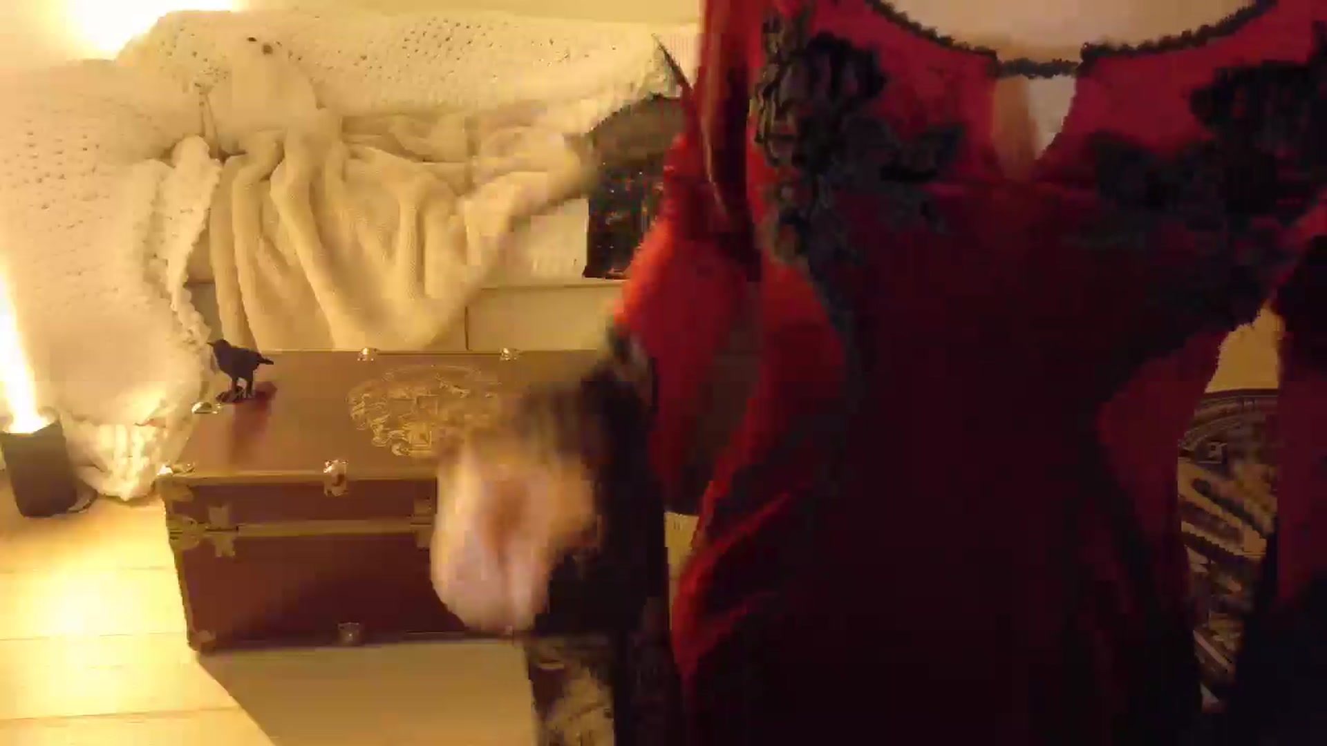 Gallery image thumbnail from Nightmiora's myfreecams stream on, 02/15/2026, 04:04 image 8 of 20