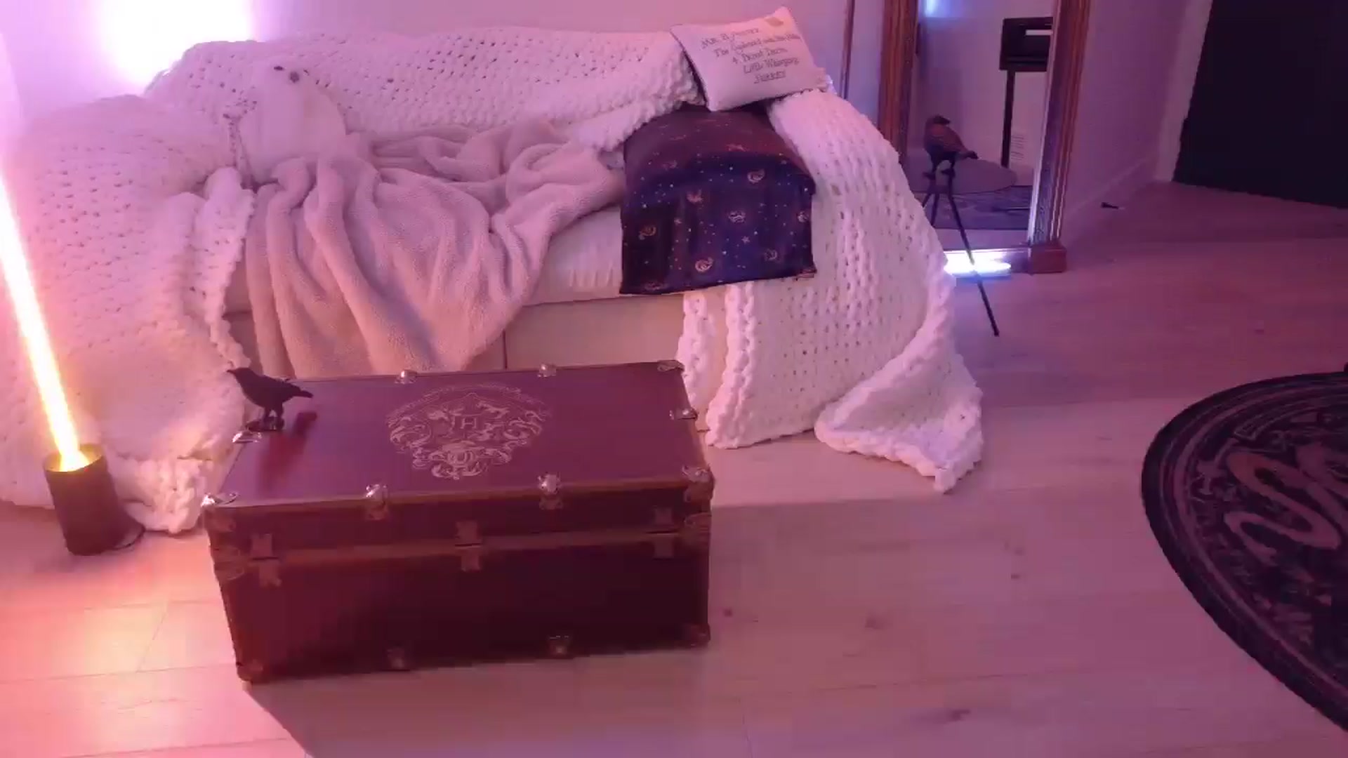 Gallery image thumbnail from Nightmiora's myfreecams stream on, 02/18/2026, 05:53 image 4 of 20