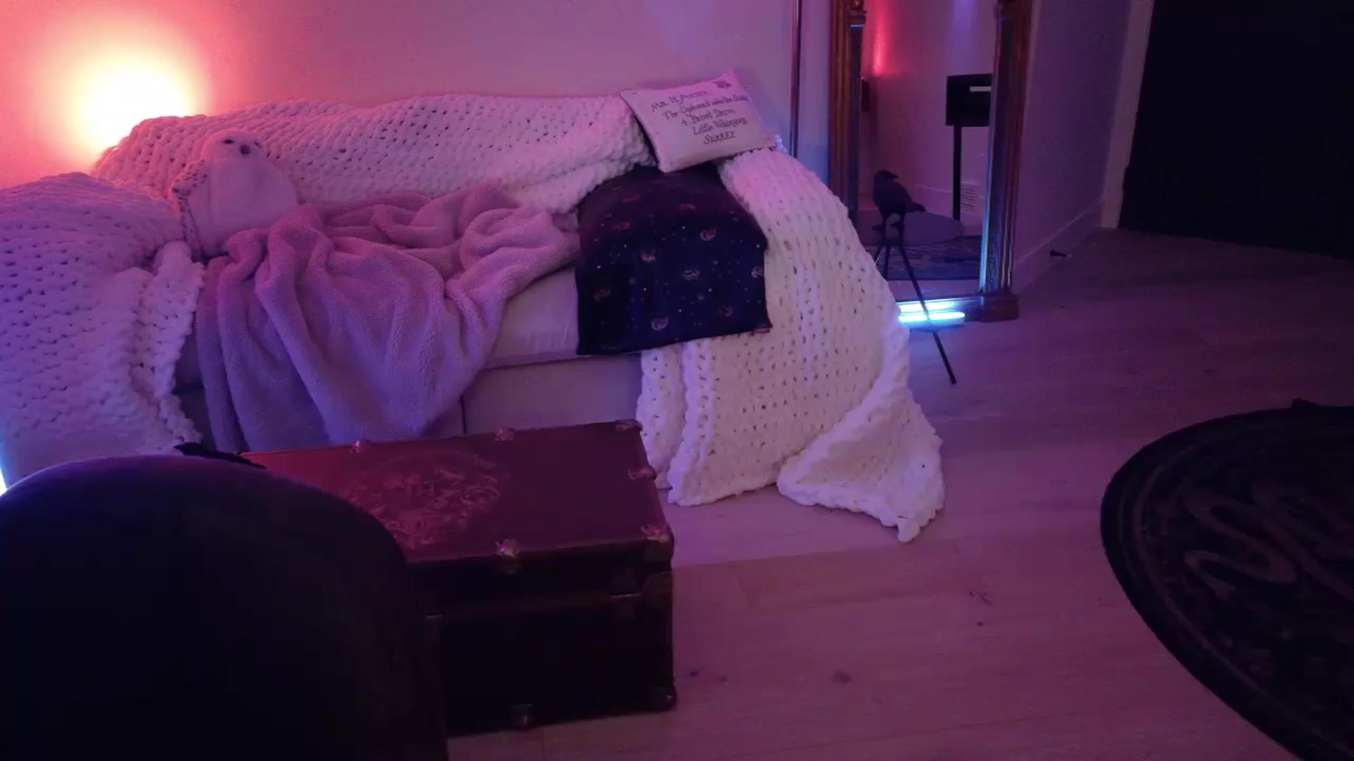 Gallery image thumbnail from Nightmiora's myfreecams stream on, 02/18/2026, 05:53 image 2 of 20