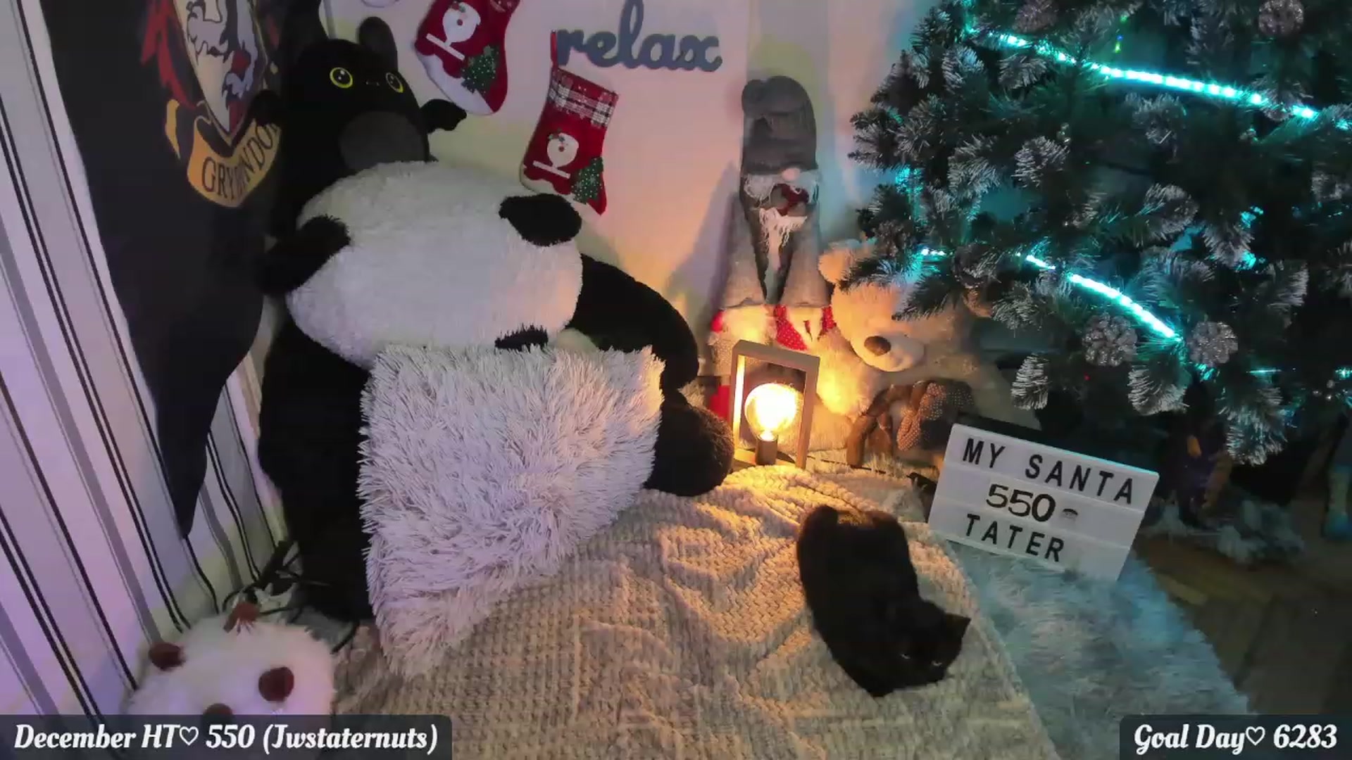 Gallery image thumbnail from Nika_Cakes's myfreecams stream on, 12/05/2022, 05:23 image 13 of 20