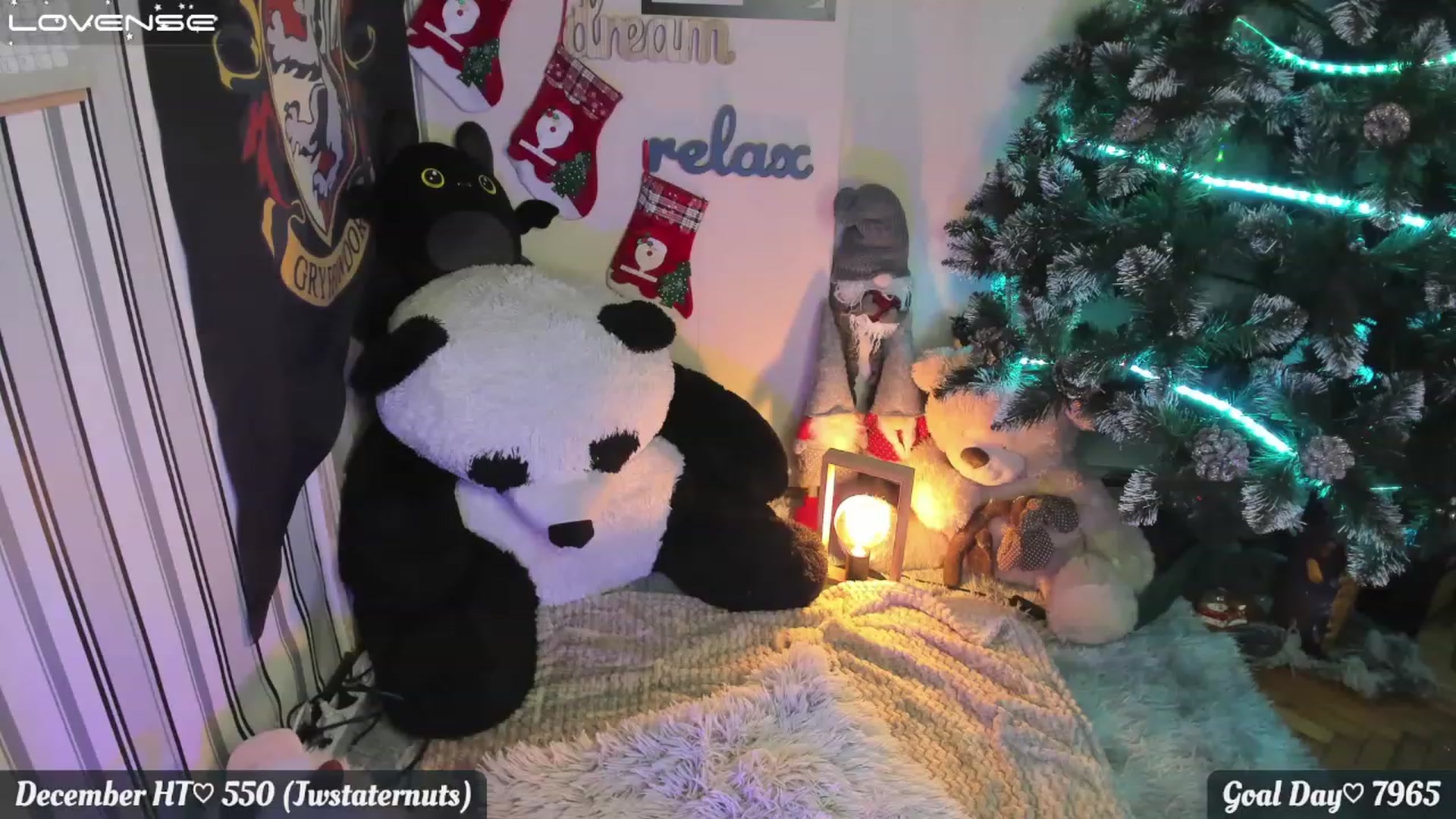 Gallery image thumbnail from Nika_Cakes's myfreecams stream on, 12/05/2022, 05:23 image 4 of 20