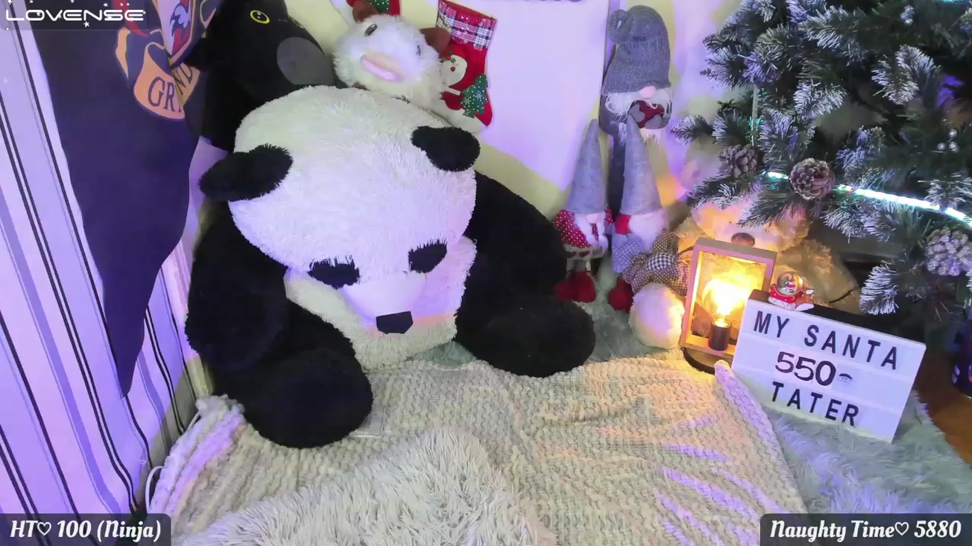 Gallery image thumbnail from Nika_Cakes's myfreecams stream on, 12/07/2022, 23:03 image 3 of 20