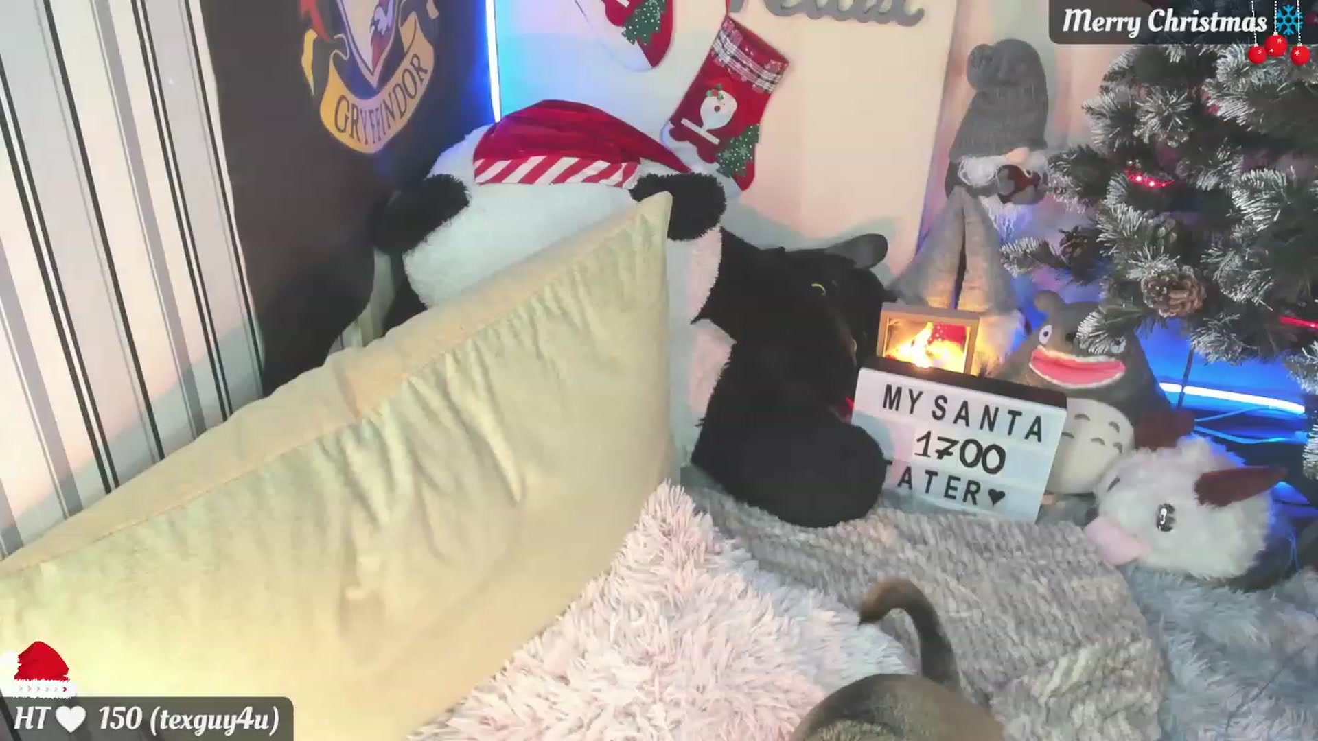 Gallery image thumbnail from Nika_Cakes's myfreecams stream on, 12/25/2022, 24:38 image 18 of 20