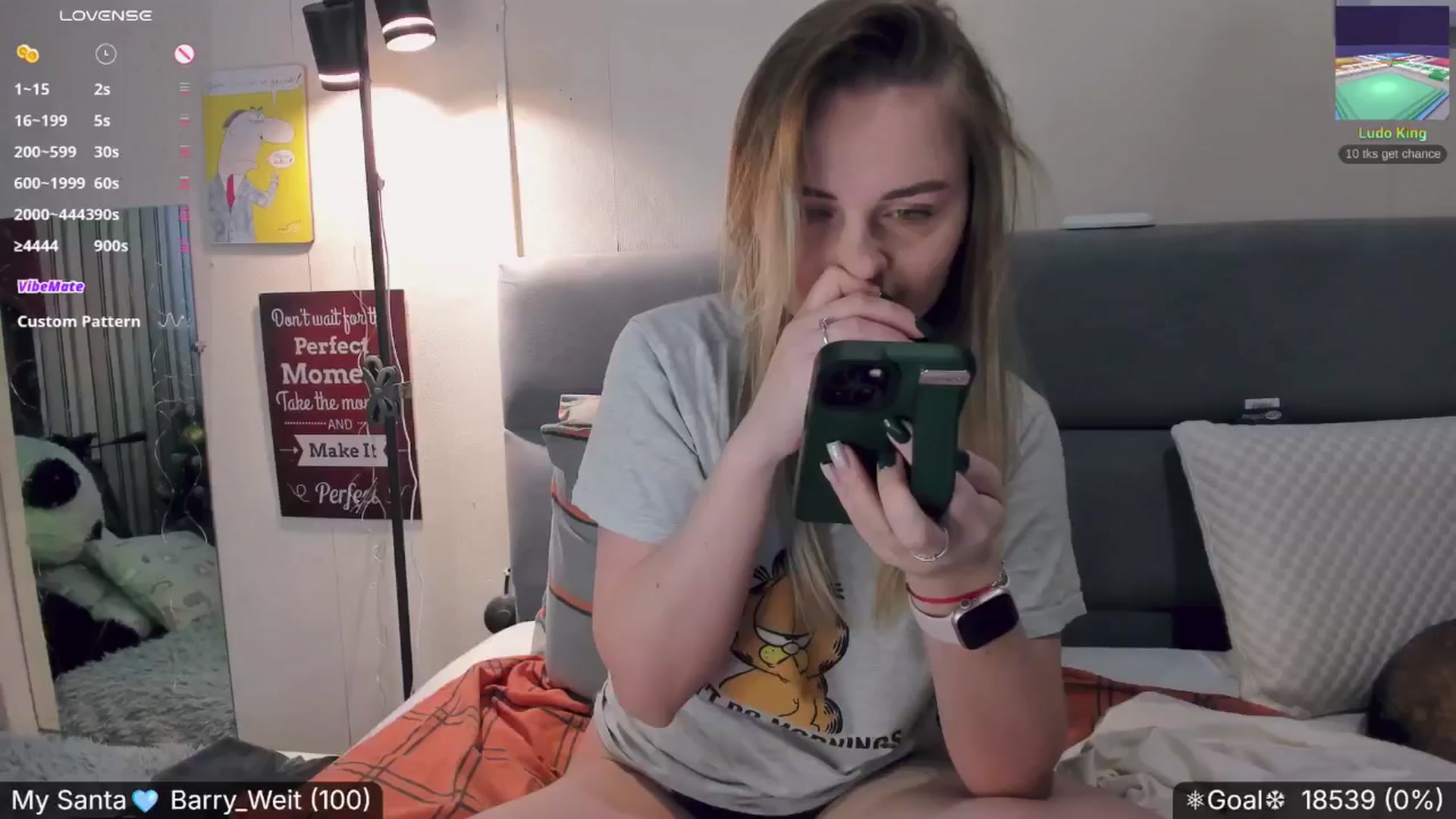 Gallery image thumbnail from Nika_Kitten's myfreecams stream on, 12/26/2024, 17:24 image 4 of 20