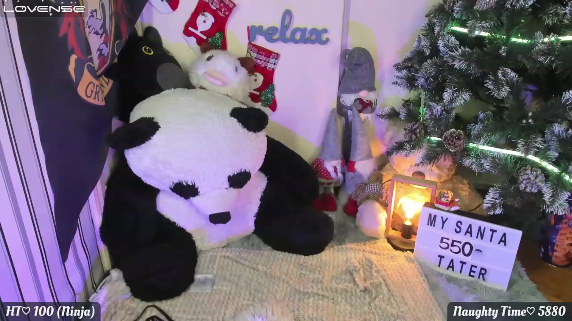 Gallery image thumbnail from Nika_tied_up's myfreecams stream on, 12/07/2022, 23:37 image 17 of 20