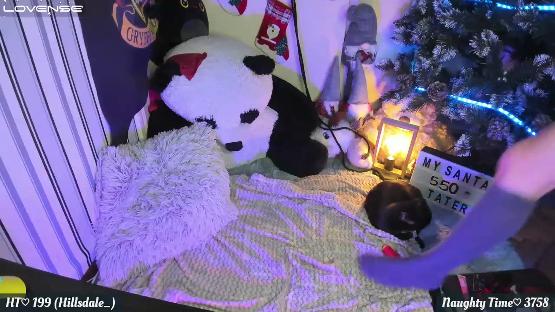 Gallery image thumbnail from Nika_tied_up's myfreecams stream on, 12/08/2022, 03:59 image 10 of 20