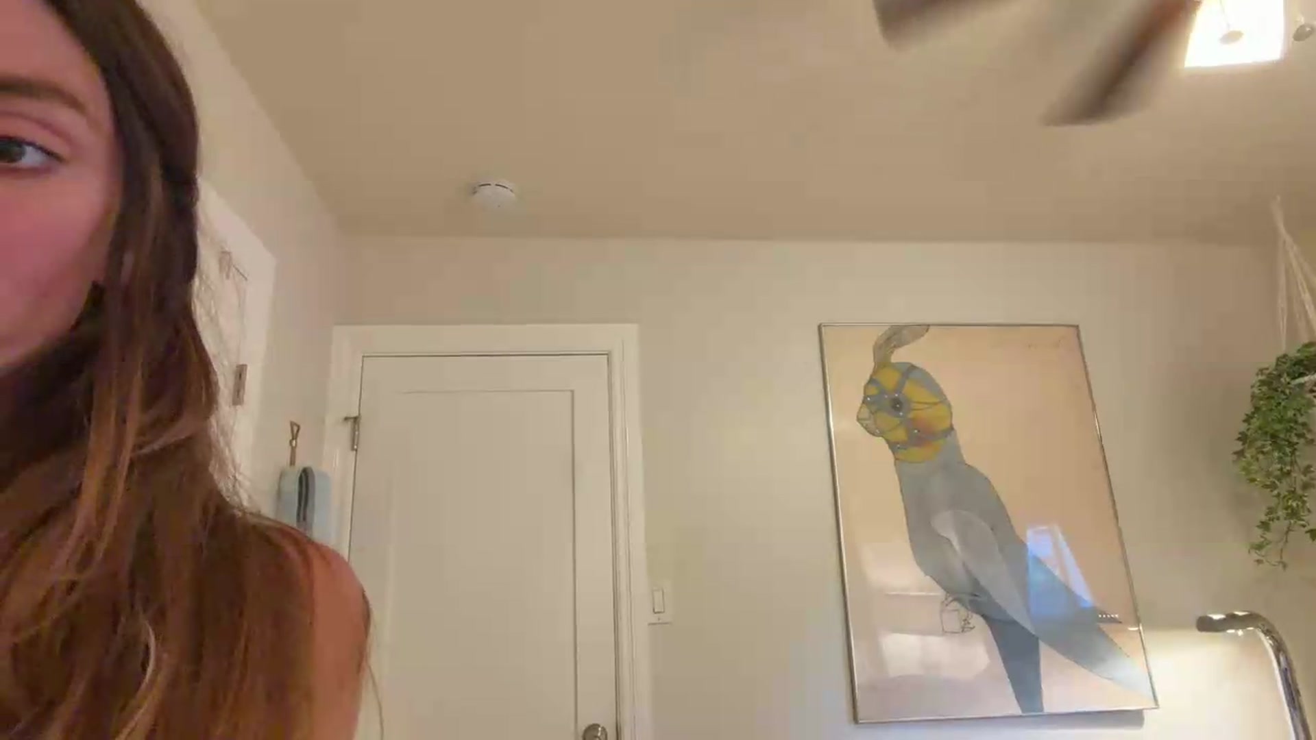 Gallery image thumbnail from NikiSkyler's myfreecams stream on, 09/13/2026, 01:49 image 14 of 20