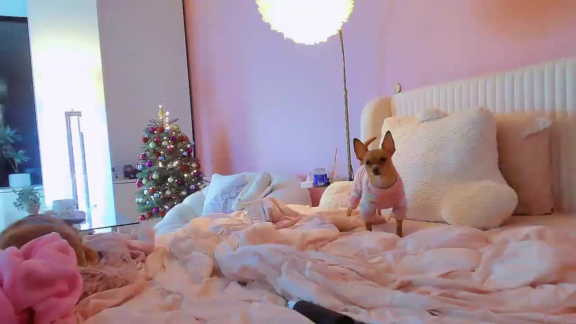 Gallery image thumbnail from NikiaRoza's myfreecams stream on, 12/16/2024, 22:49 image 3 of 20