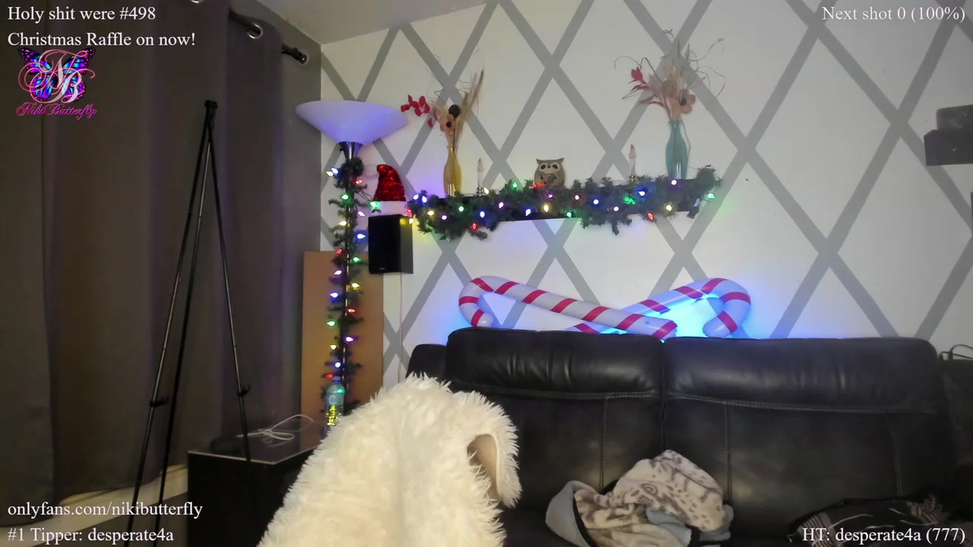 Gallery image thumbnail from Nikibutterfly's myfreecams stream on, 12/27/2022, 08:50 image 19 of 20