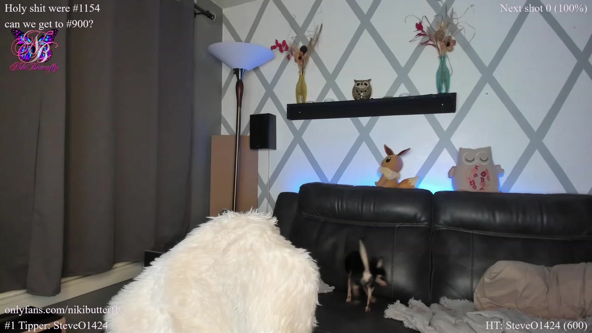 Gallery image thumbnail from Nikibutterfly's myfreecams stream on, 01/12/2023, 06:11 image 7 of 20