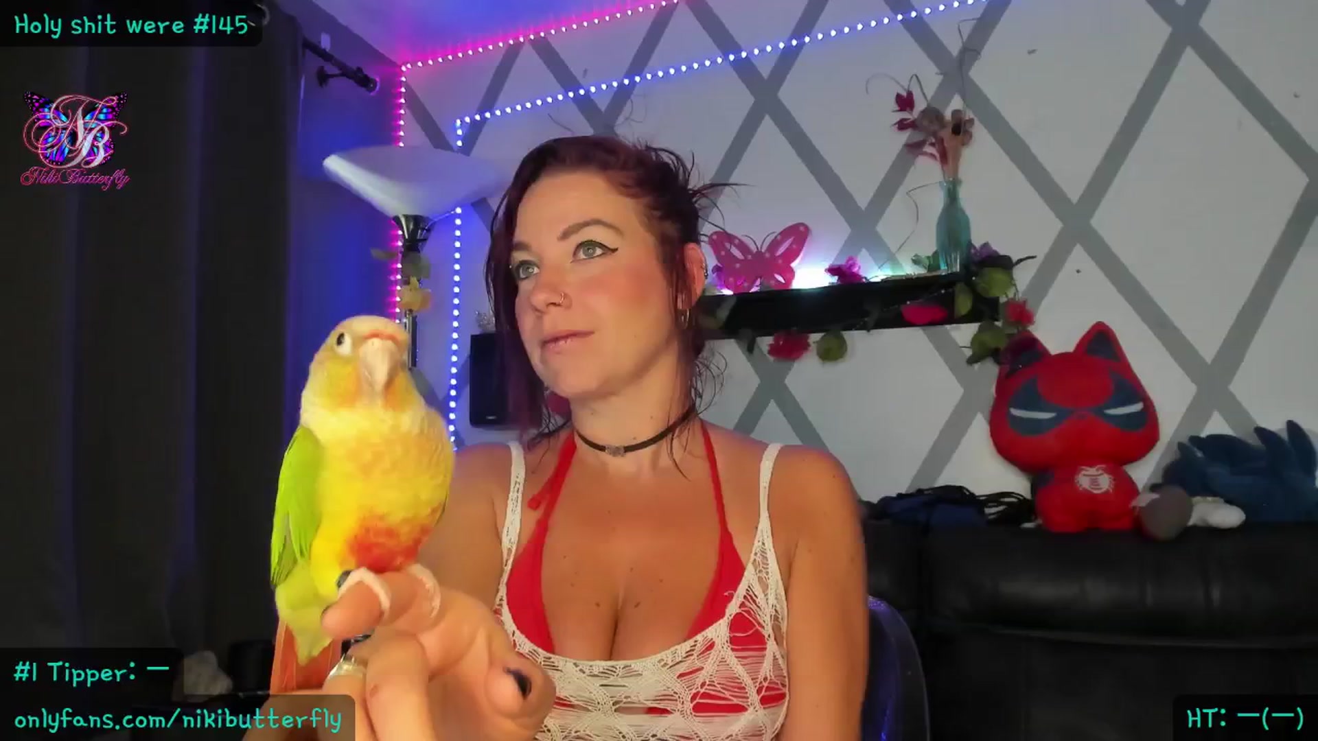 Gallery image thumbnail from Nikibutterfly's myfreecams stream on, 06/11/2024, 18:31 image 17 of 20