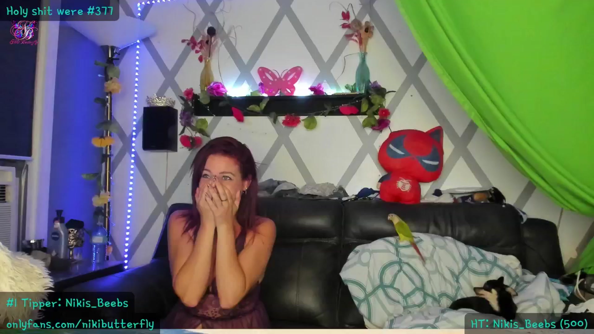 Gallery image thumbnail from Nikibutterfly's myfreecams stream on, 06/23/2024, 04:23 image 4 of 20