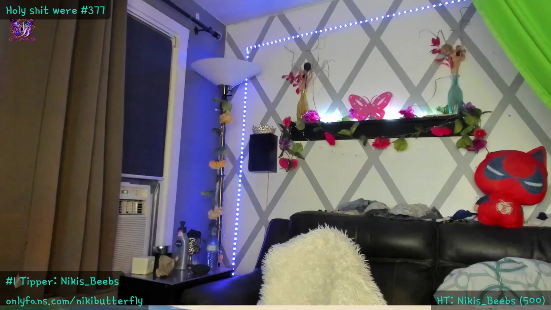 Gallery image thumbnail from Nikibutterfly's myfreecams stream on, 06/23/2024, 04:23 image 8 of 20