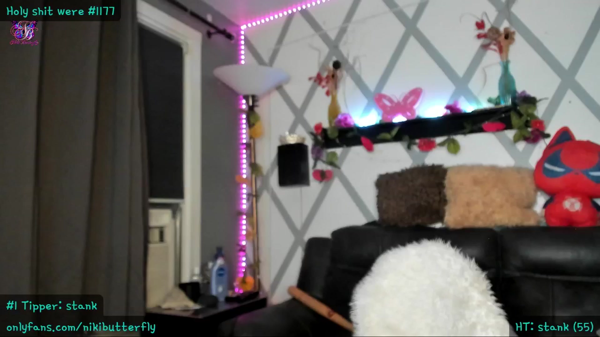 Gallery image thumbnail from Nikibutterfly's myfreecams stream on, 07/15/2024, 03:13 image 12 of 20