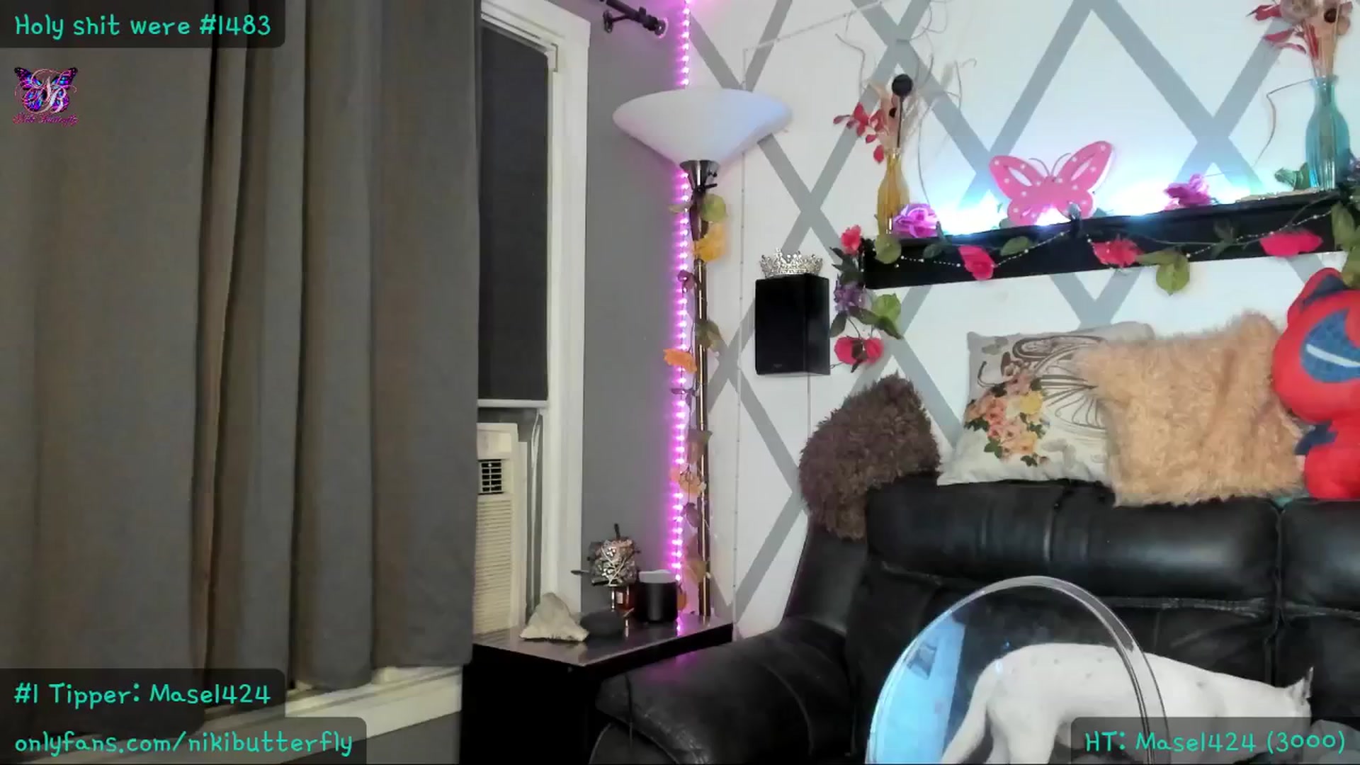 Gallery image thumbnail from Nikibutterfly's myfreecams stream on, 07/25/2024, 05:18 image 8 of 20