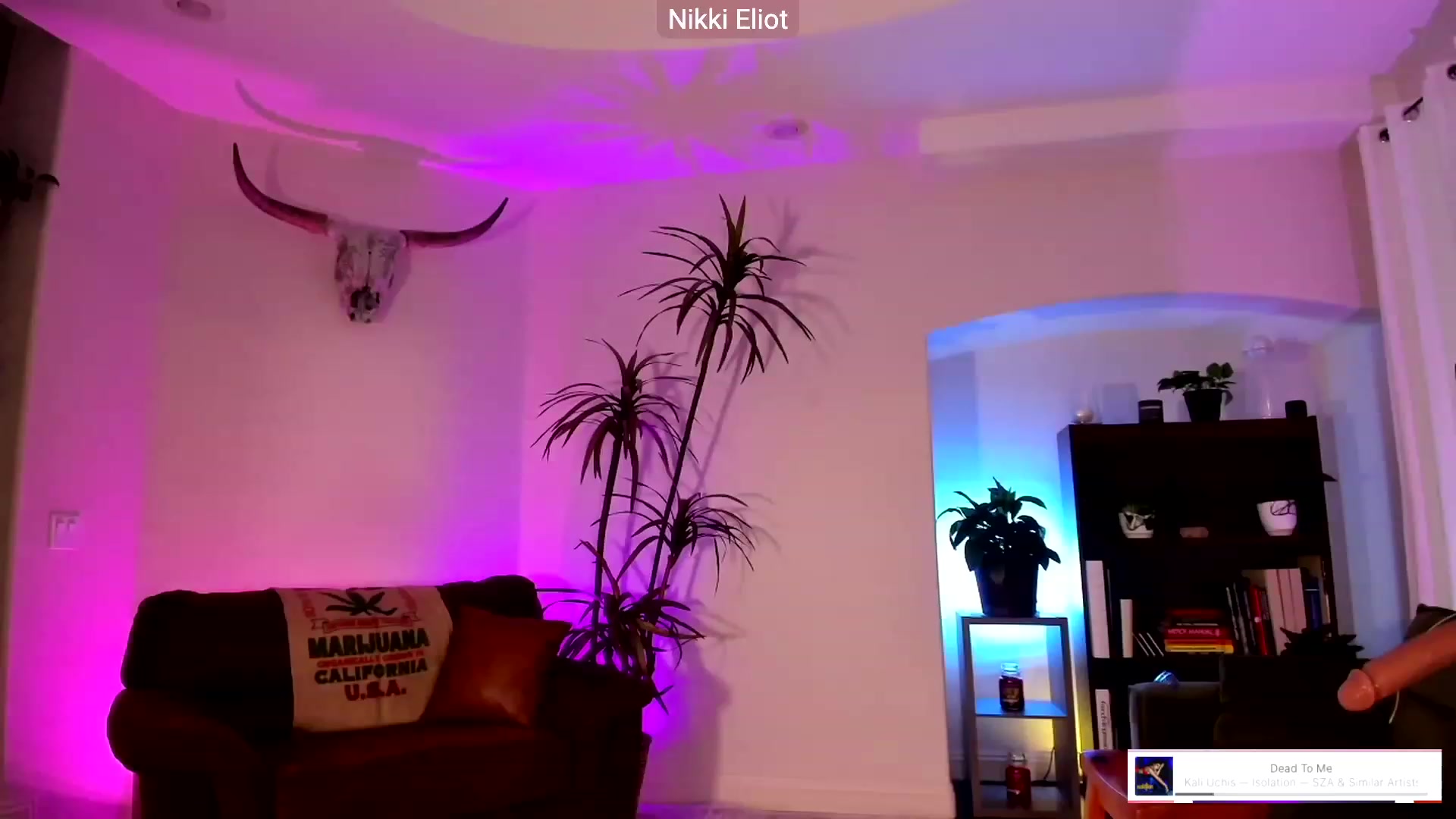 Gallery image thumbnail from NikkiEliot's myfreecams stream on, 08/19/2023, 21:54 image 17 of 20