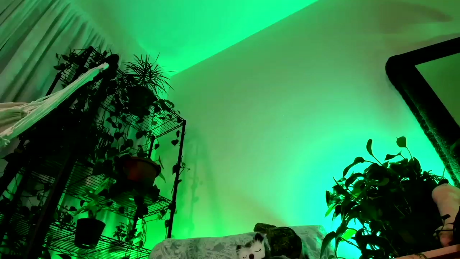 Gallery image thumbnail from NikkiEliot's myfreecams stream on, 03/18/2024, 06:00 image 14 of 20
