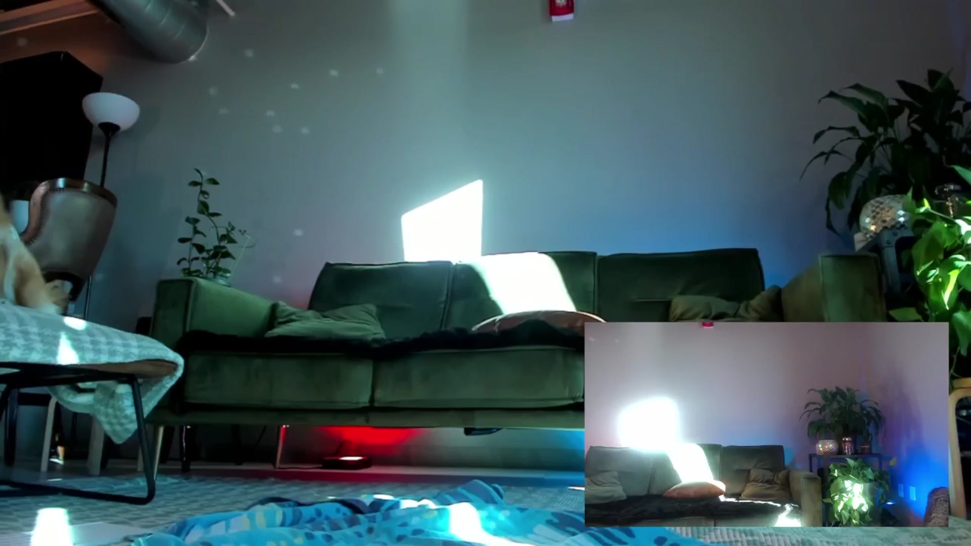 Gallery image thumbnail from NikkiEliot's myfreecams stream on, 01/04/2025, 23:38 image 9 of 20