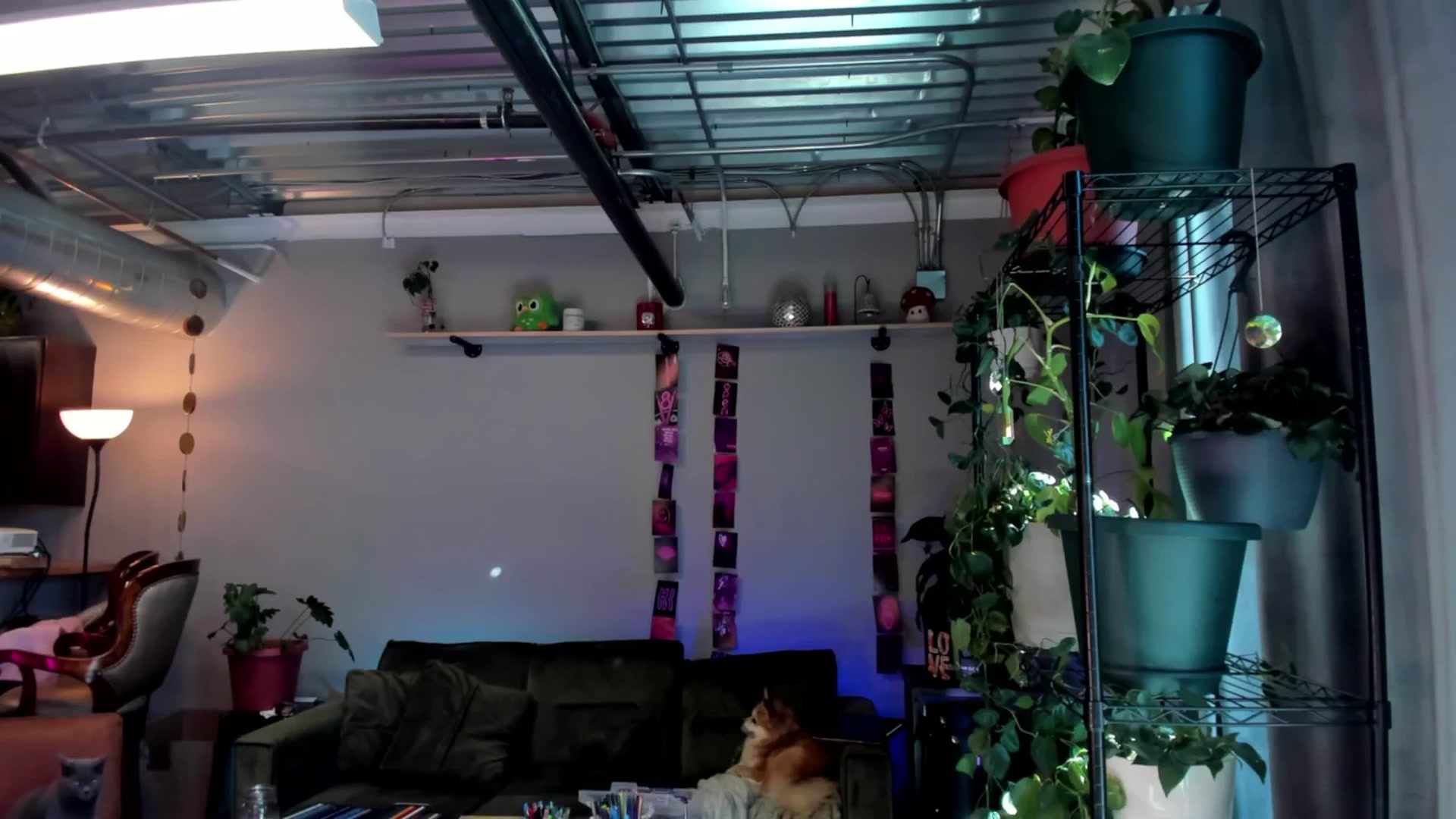 Gallery image thumbnail from NikkiEliot's myfreecams stream on, 03/15/2025, 20:25 image 10 of 20