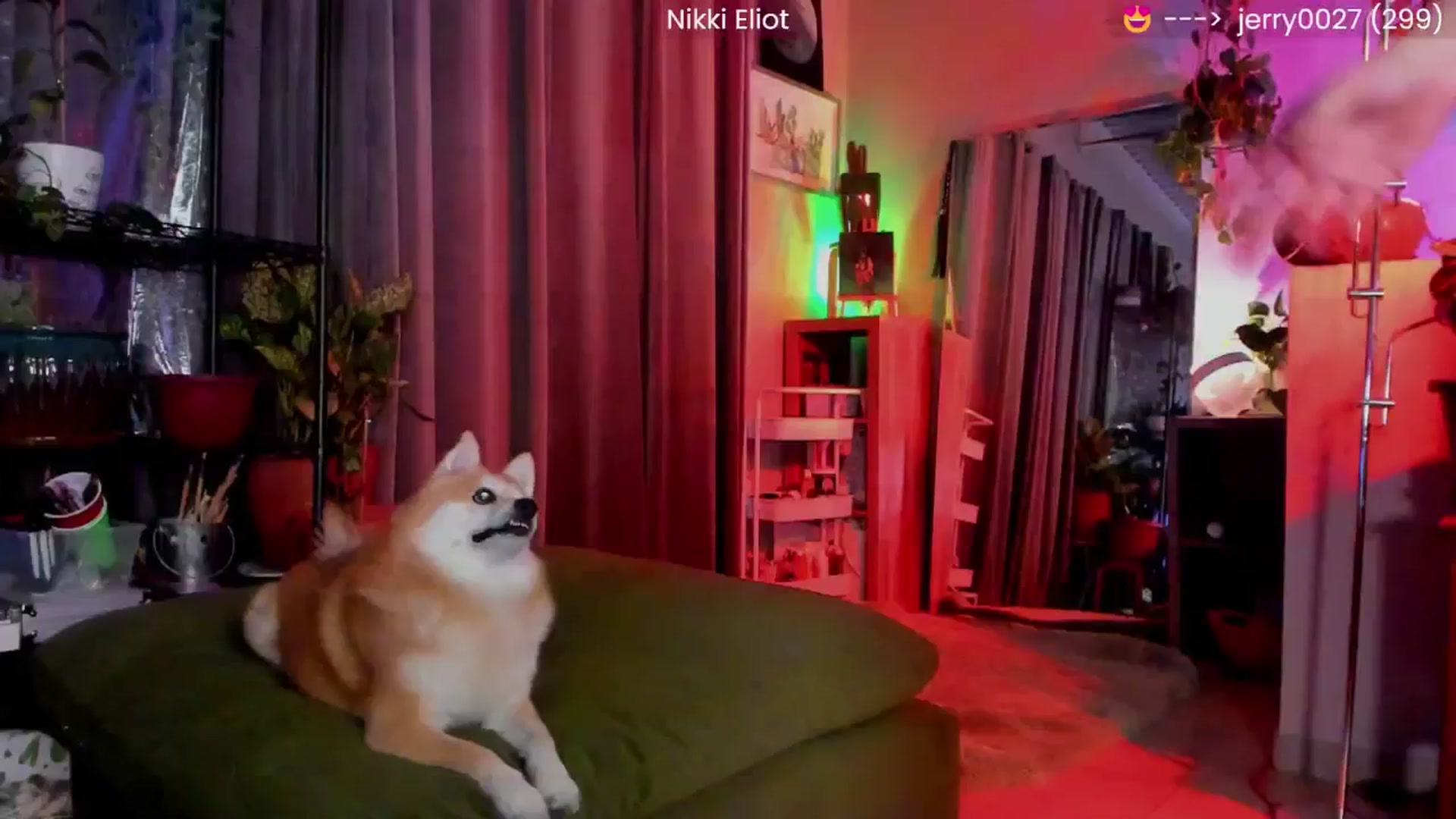Gallery image thumbnail from NikkiEliot's myfreecams stream on, 11/08/2025, 05:30 image 18 of 20
