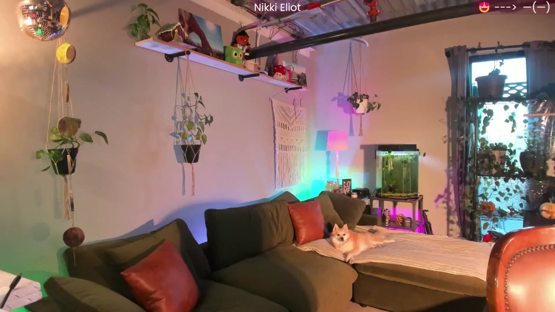 Gallery image thumbnail from NikkiEliot's myfreecams stream on, 01/10/2026, 04:33 image 2 of 20